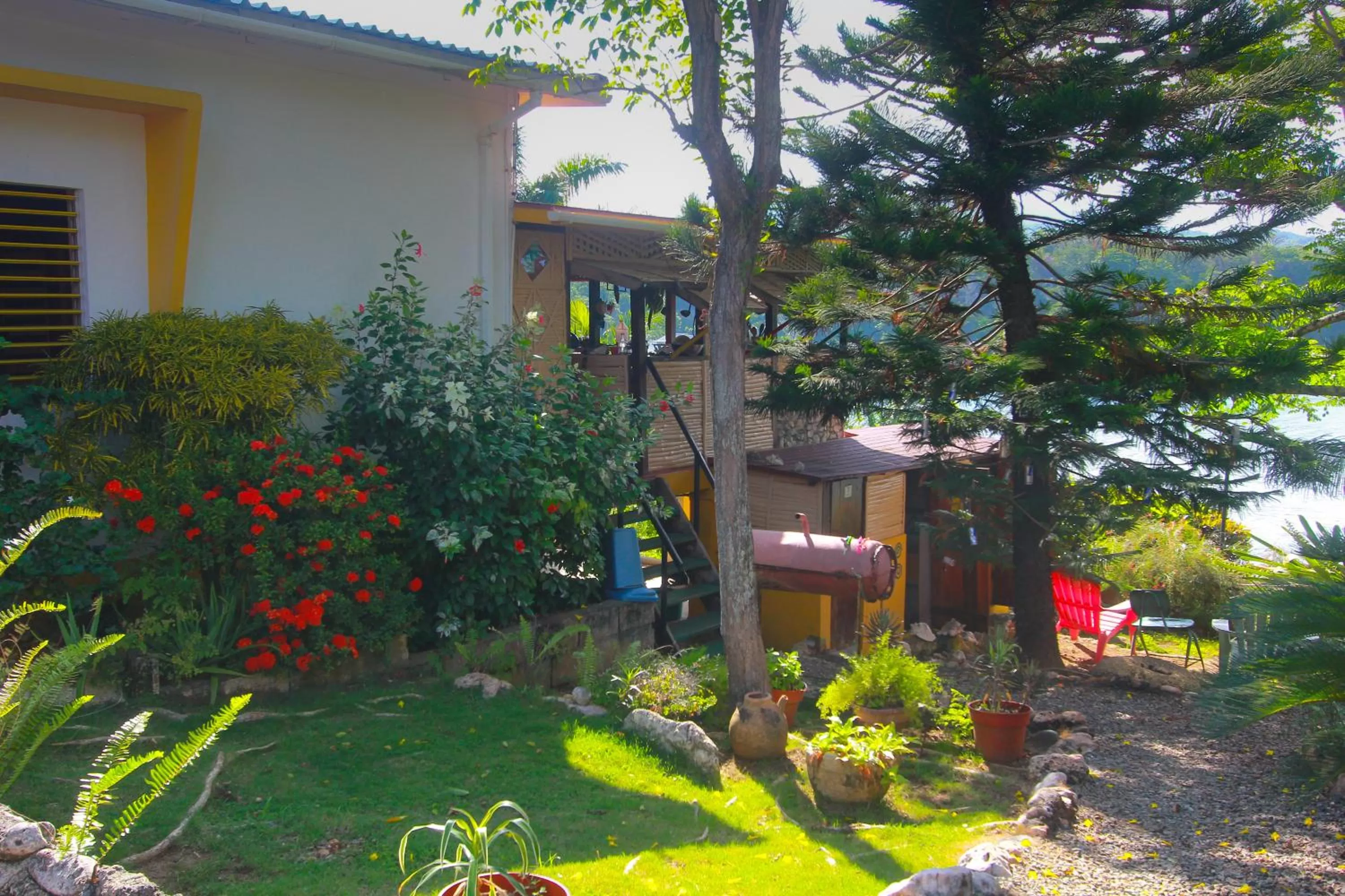 Natural landscape in Zion Country