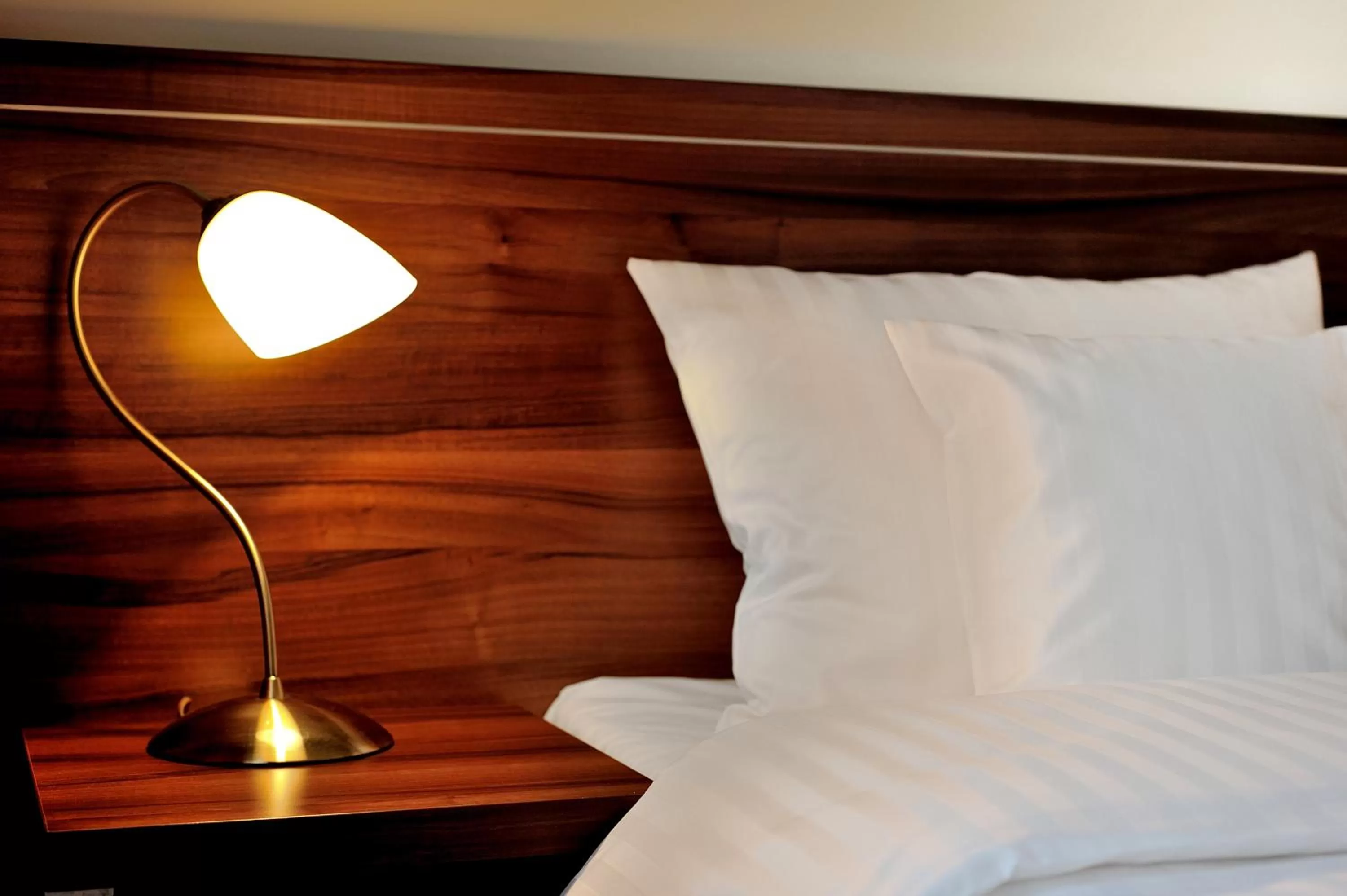 Decorative detail, Bed in Hotel Centrum Sosnowiec