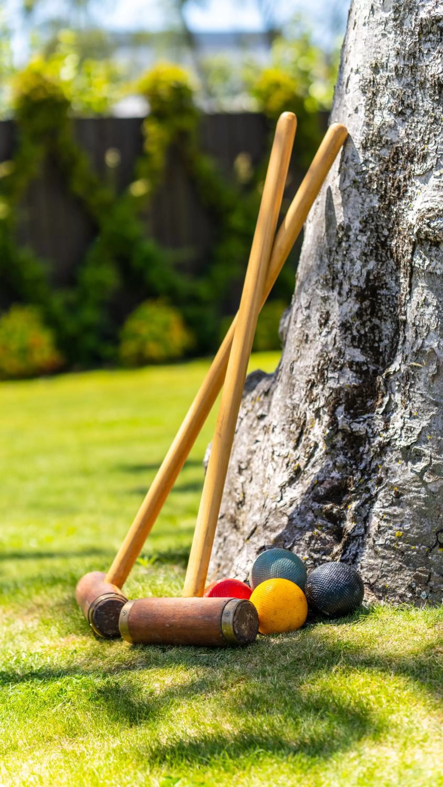 Activities in Hotel Montreal