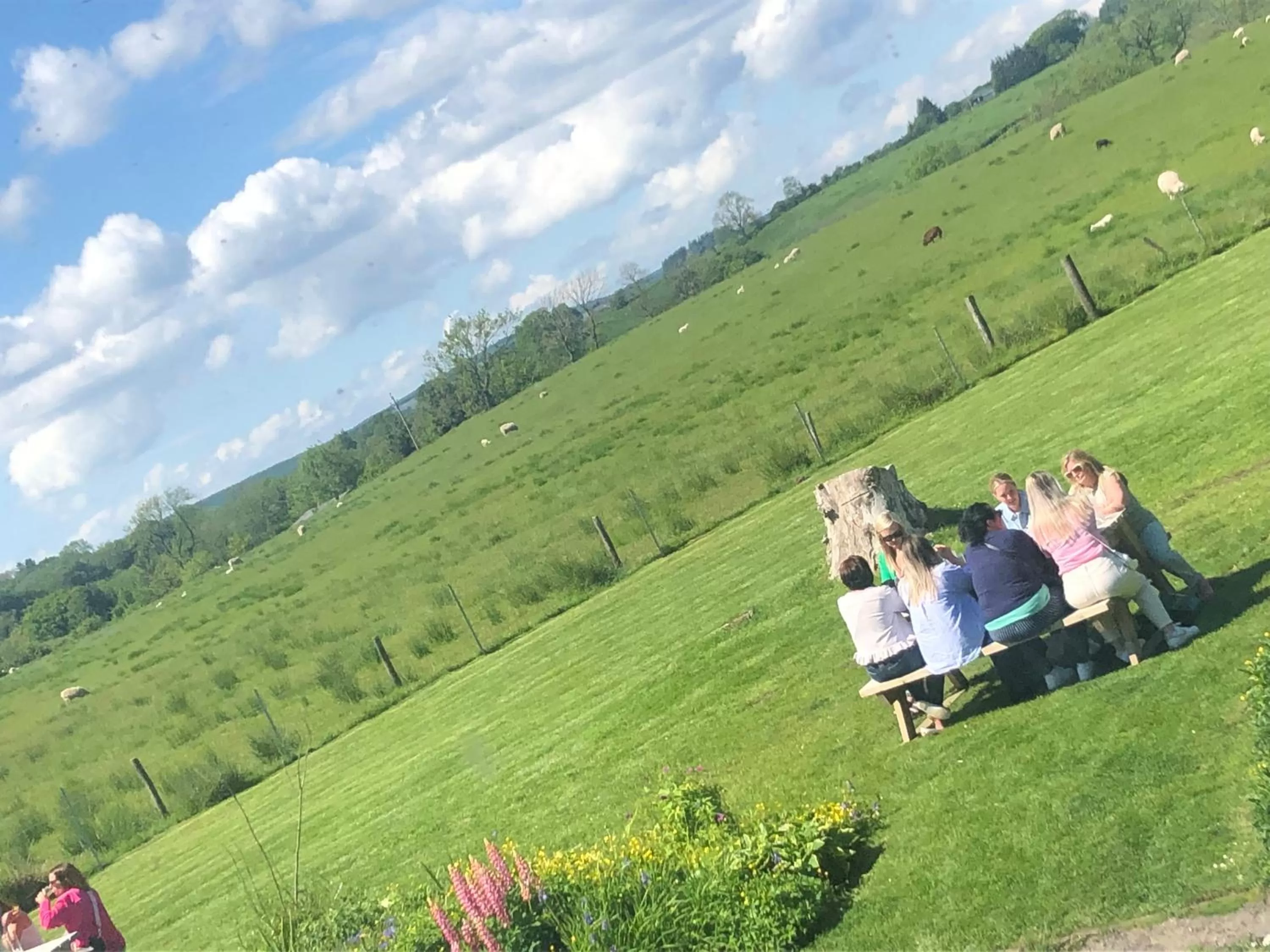 Bird's eye view, Bird's-eye View in The Crossings