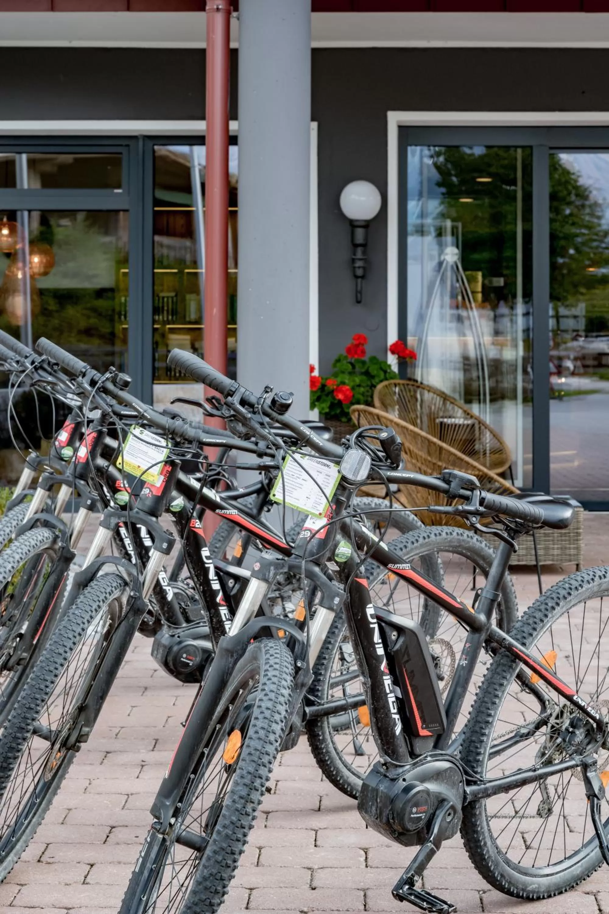 Cycling in Hotel Zum Gourmet
