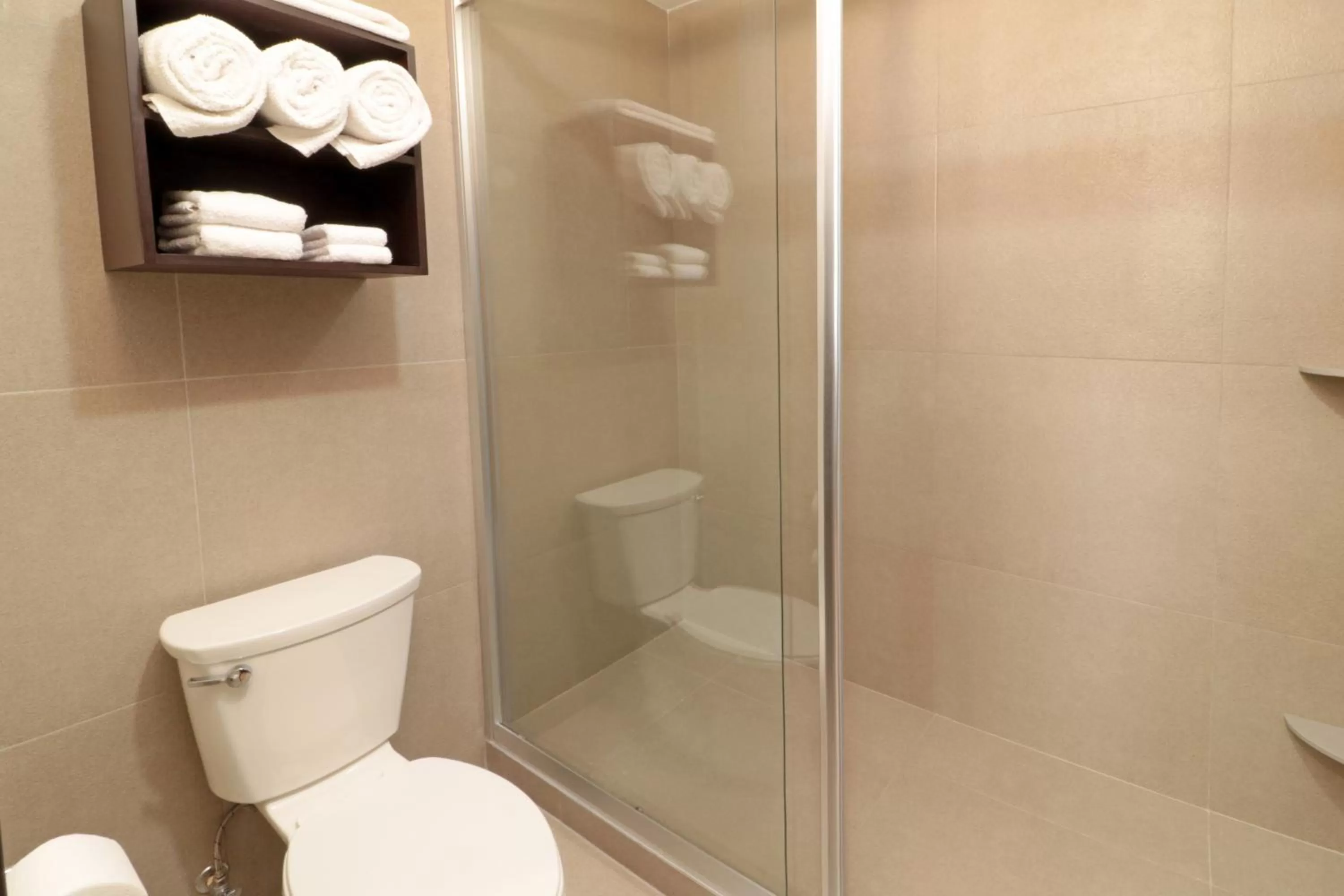 Bathroom in Staybridge Suites San Luis Potosi by IHG
