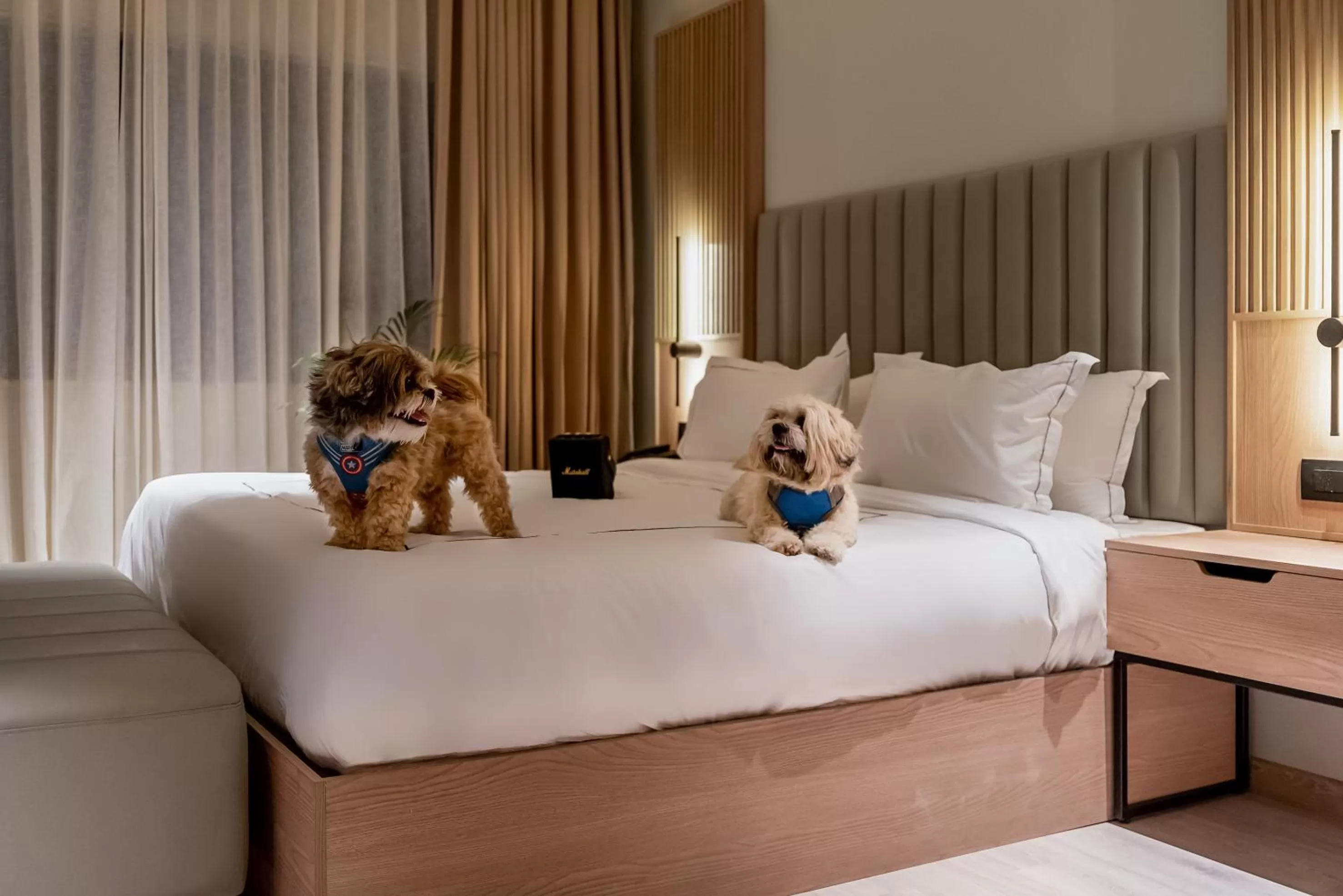 Bed in Downtown Prime A Premium Boutique Hotel Udaipur - My Downtown Hotels