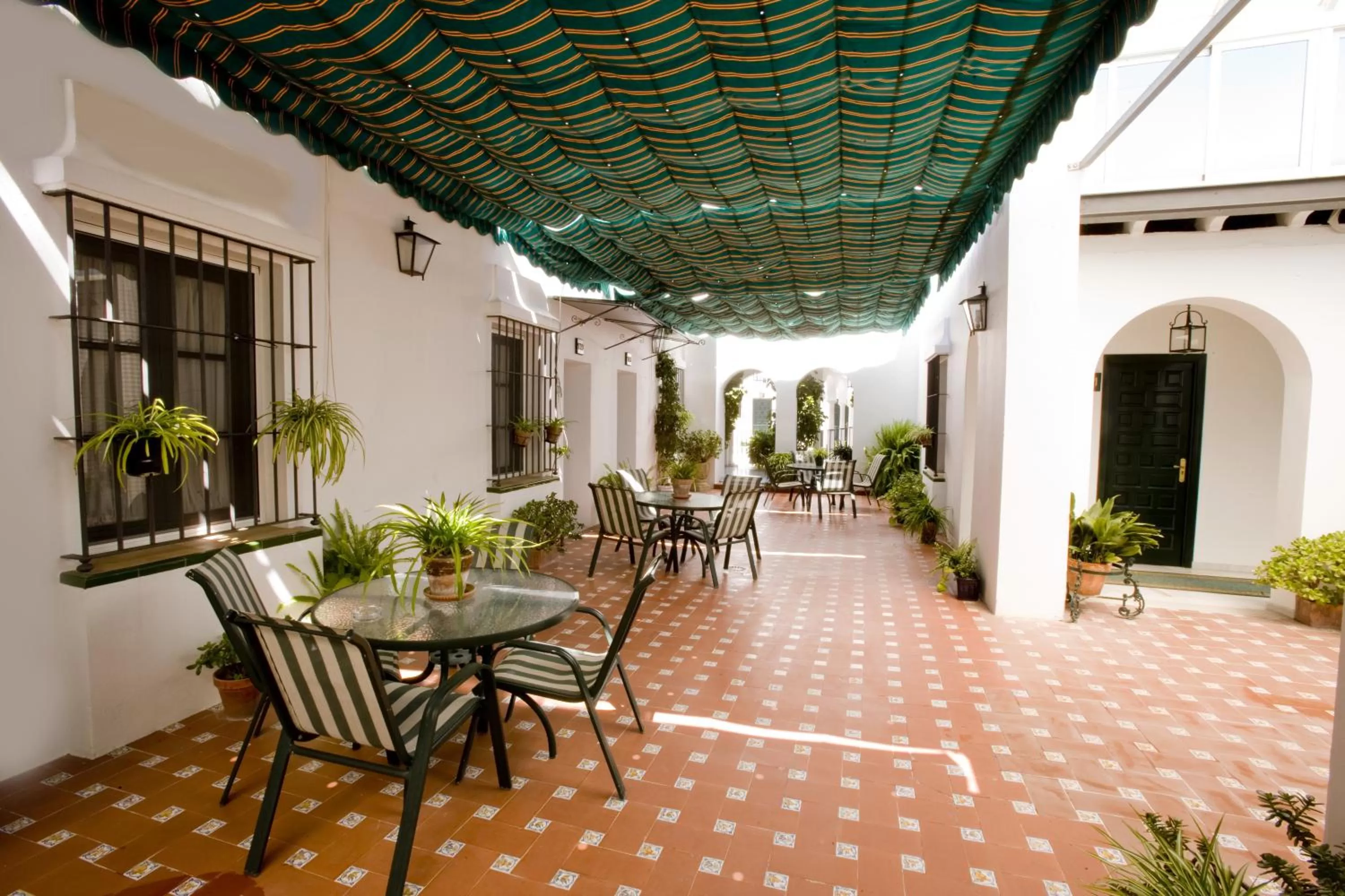 Patio in Los Helechos