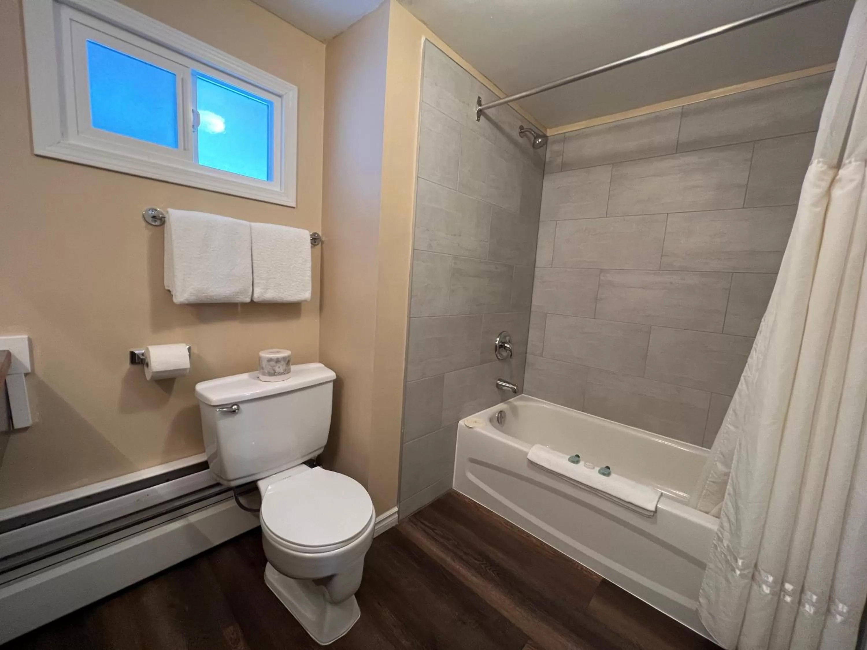 Shower in Villa Motel