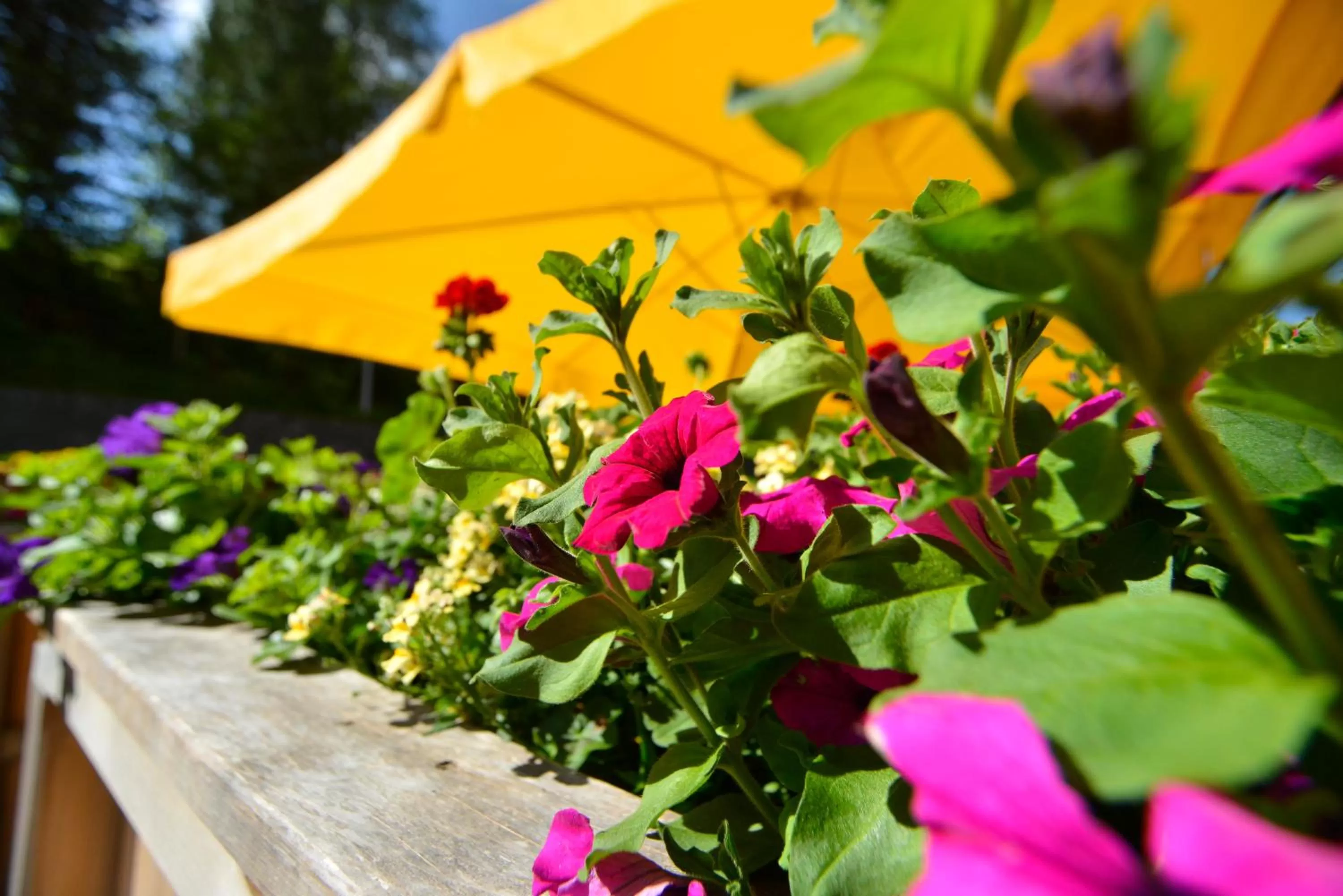 Other in Hotel Diana