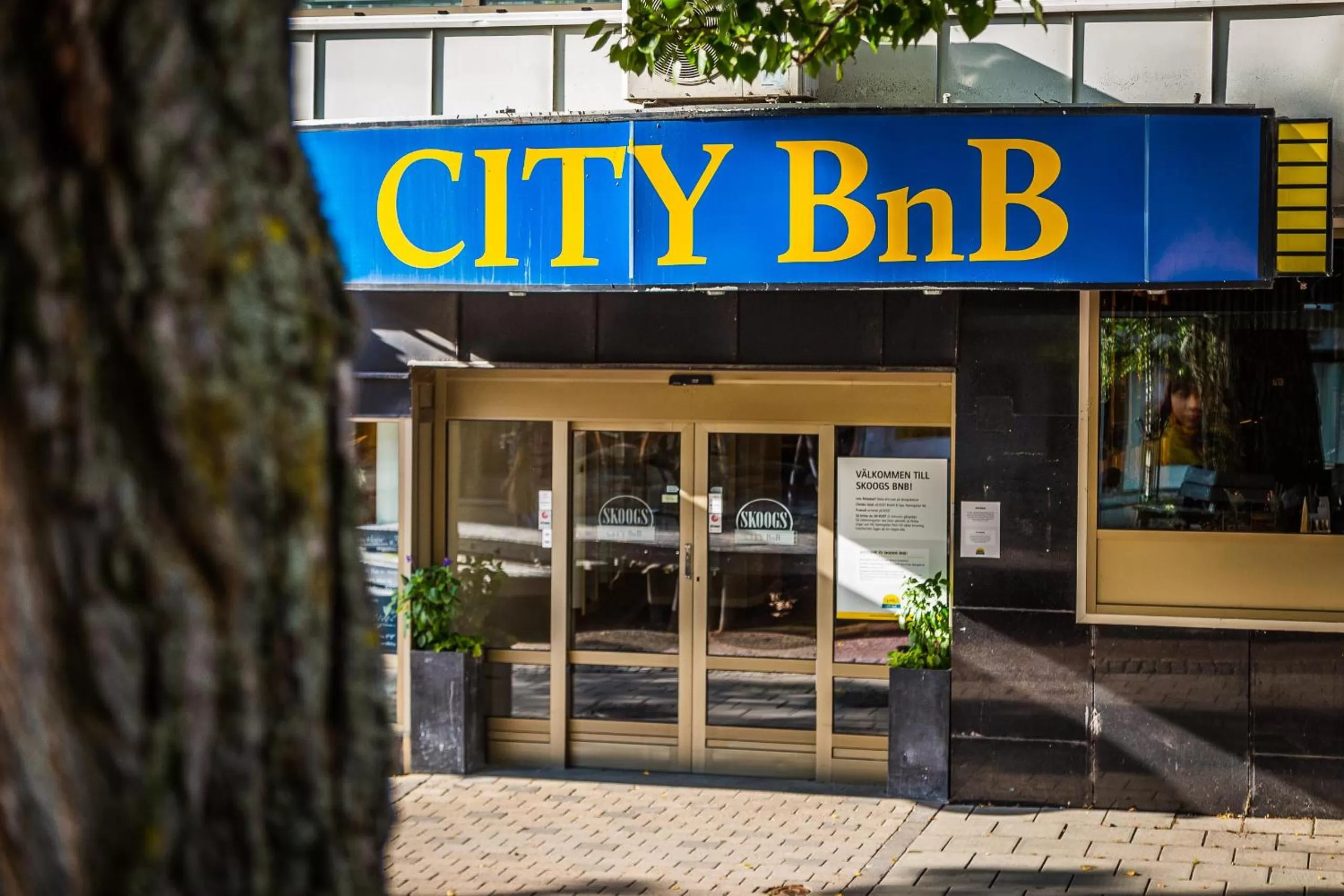 Property building in Skoogs City BnB