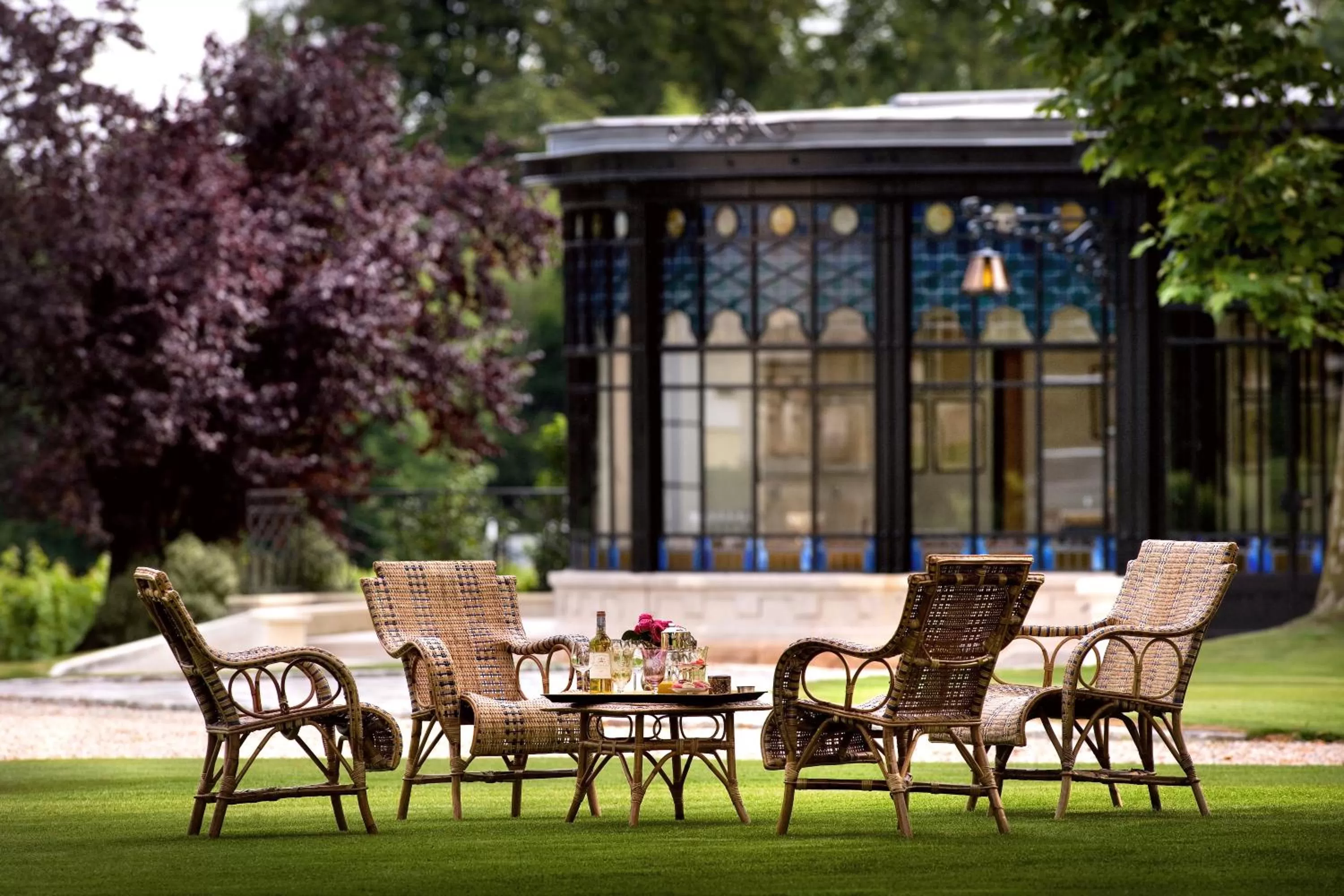 Garden, Patio/Outdoor Area in Château Pape Clément