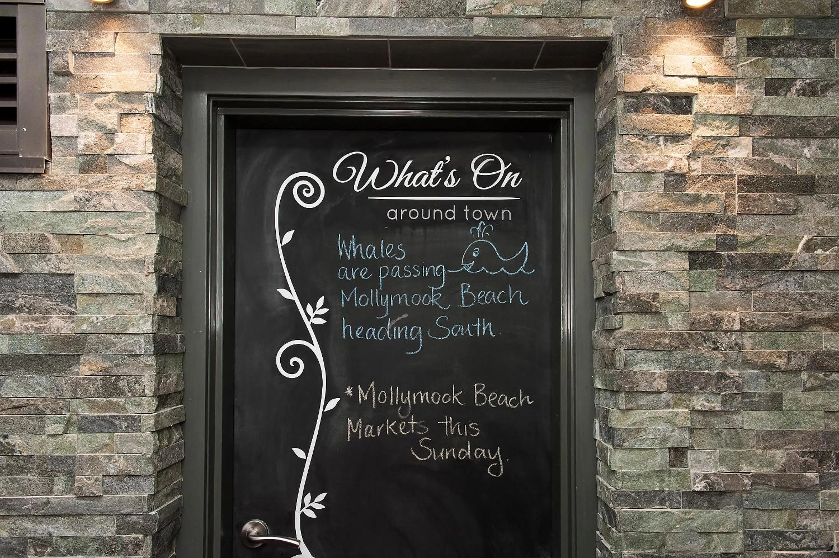 Activities in Allure On Ocean Motel - Mollymook Beach