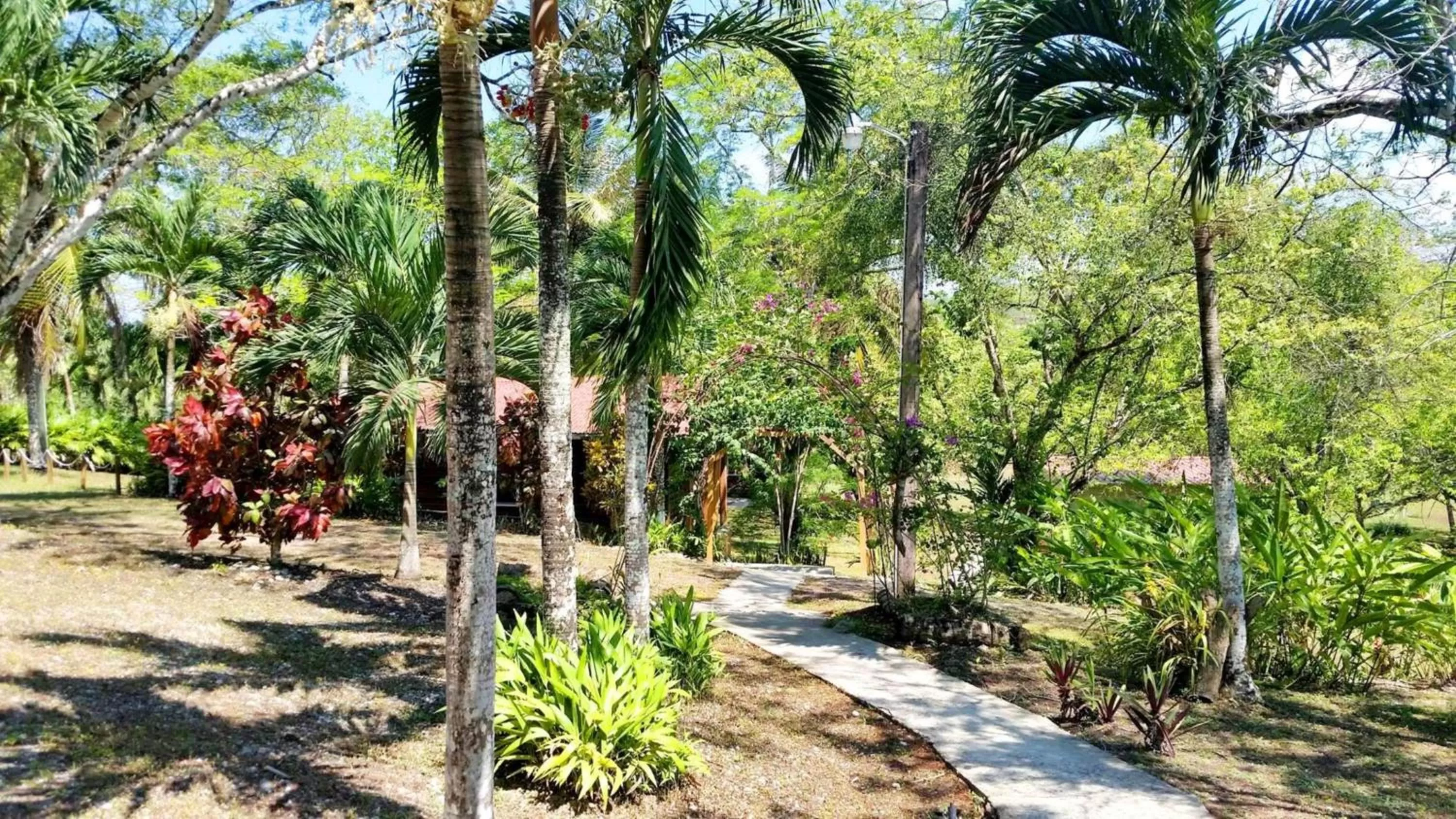 View (from property/room) in The Log Cab-Inn