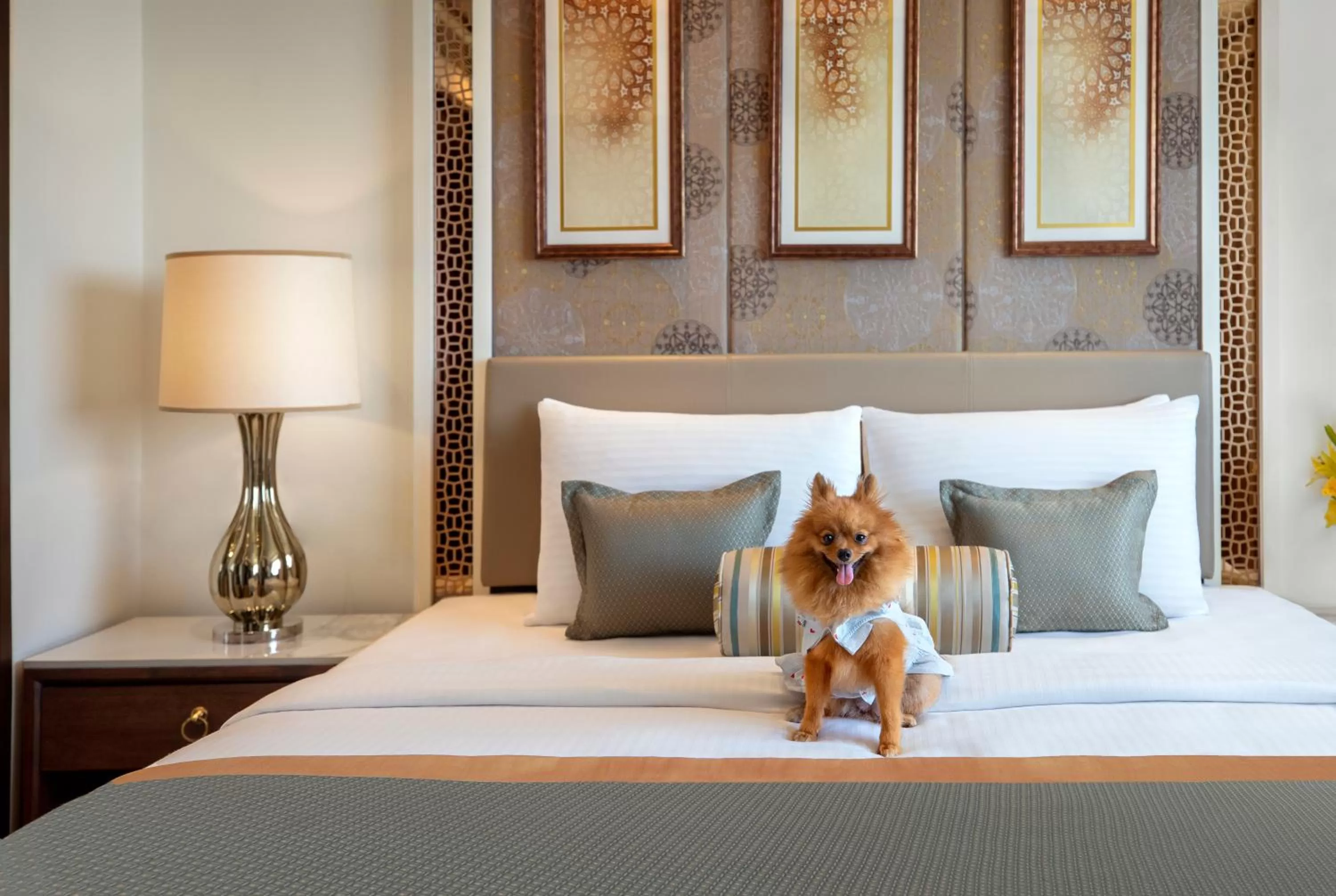 Pets, Bed in Tajview, Agra-IHCL SeleQtions