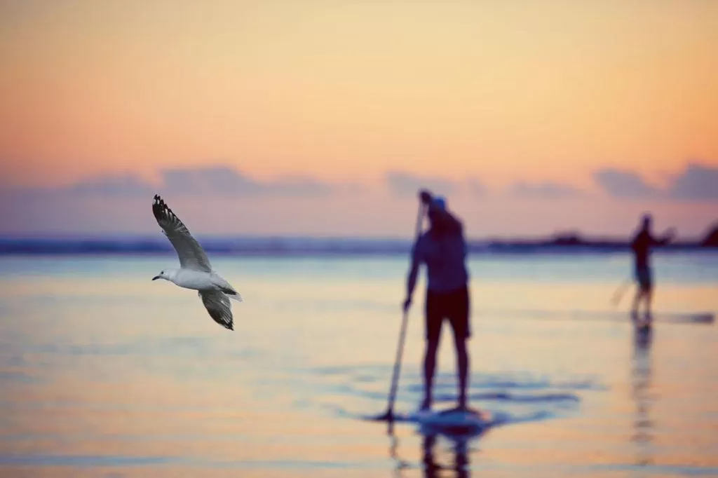 Natural landscape in Kiama Shores