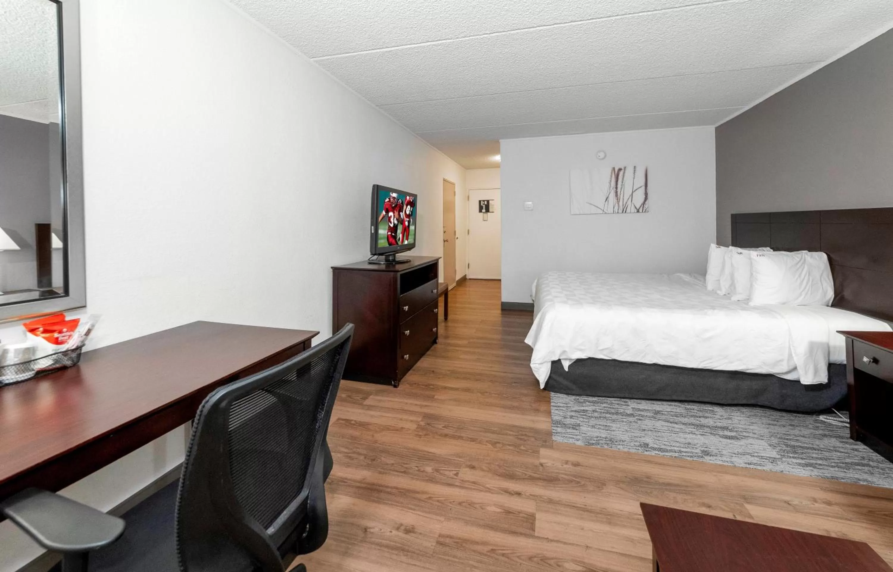 Photo of the whole room, Bed in Red Roof PLUS Newark Liberty Airport - Carteret