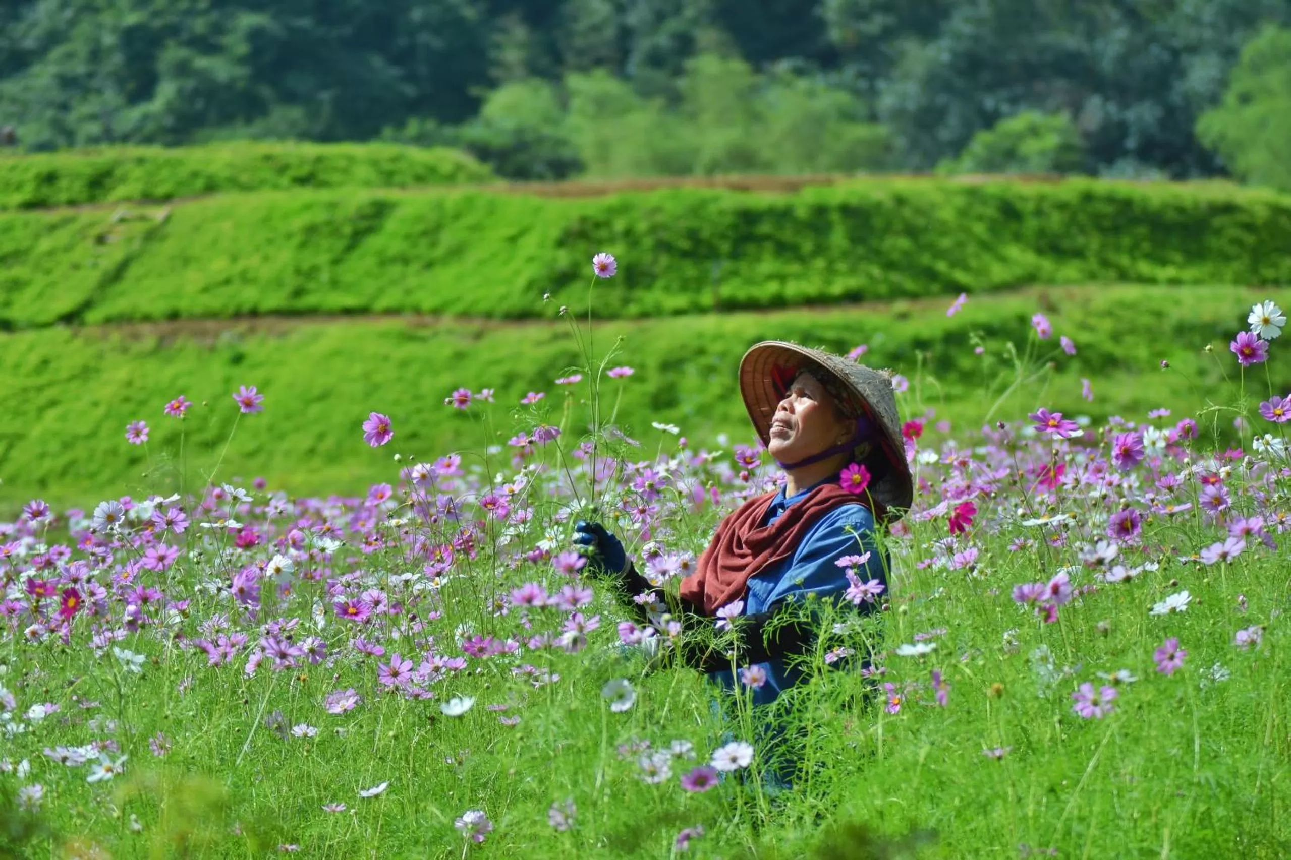 Garden in Thung Nham Resort