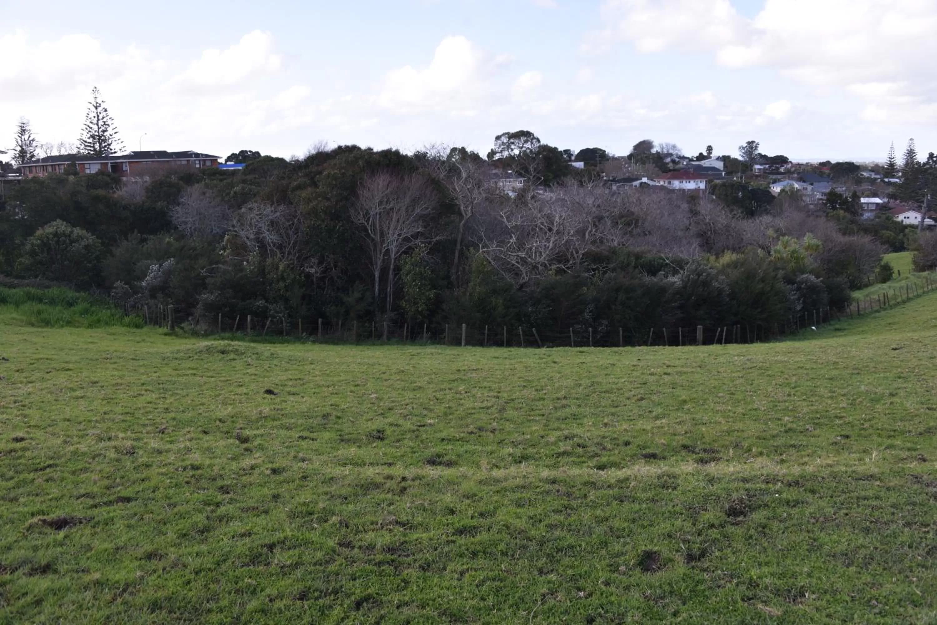 Natural landscape in Regal Residency