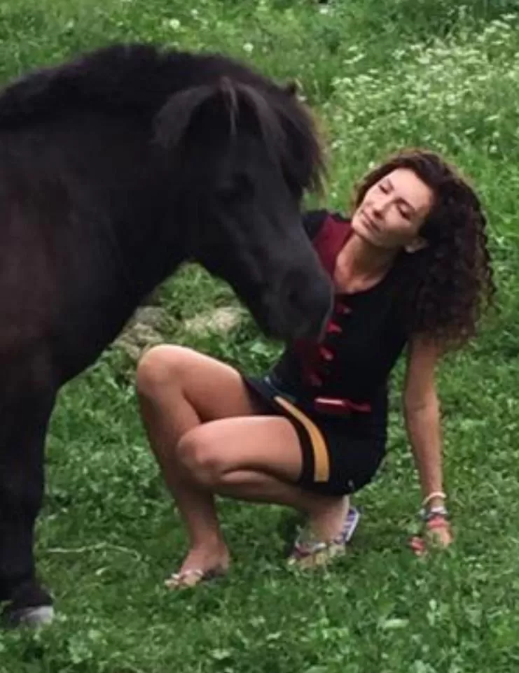 Property building in Pensiunea SilvAnka