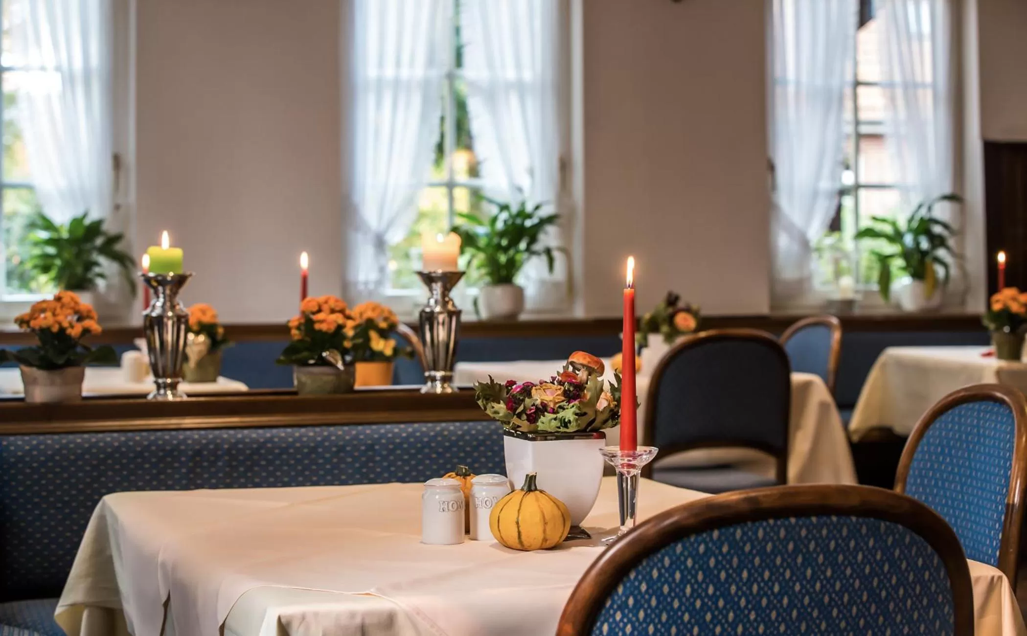 Restaurant/places to eat in Hotel Acht Linden