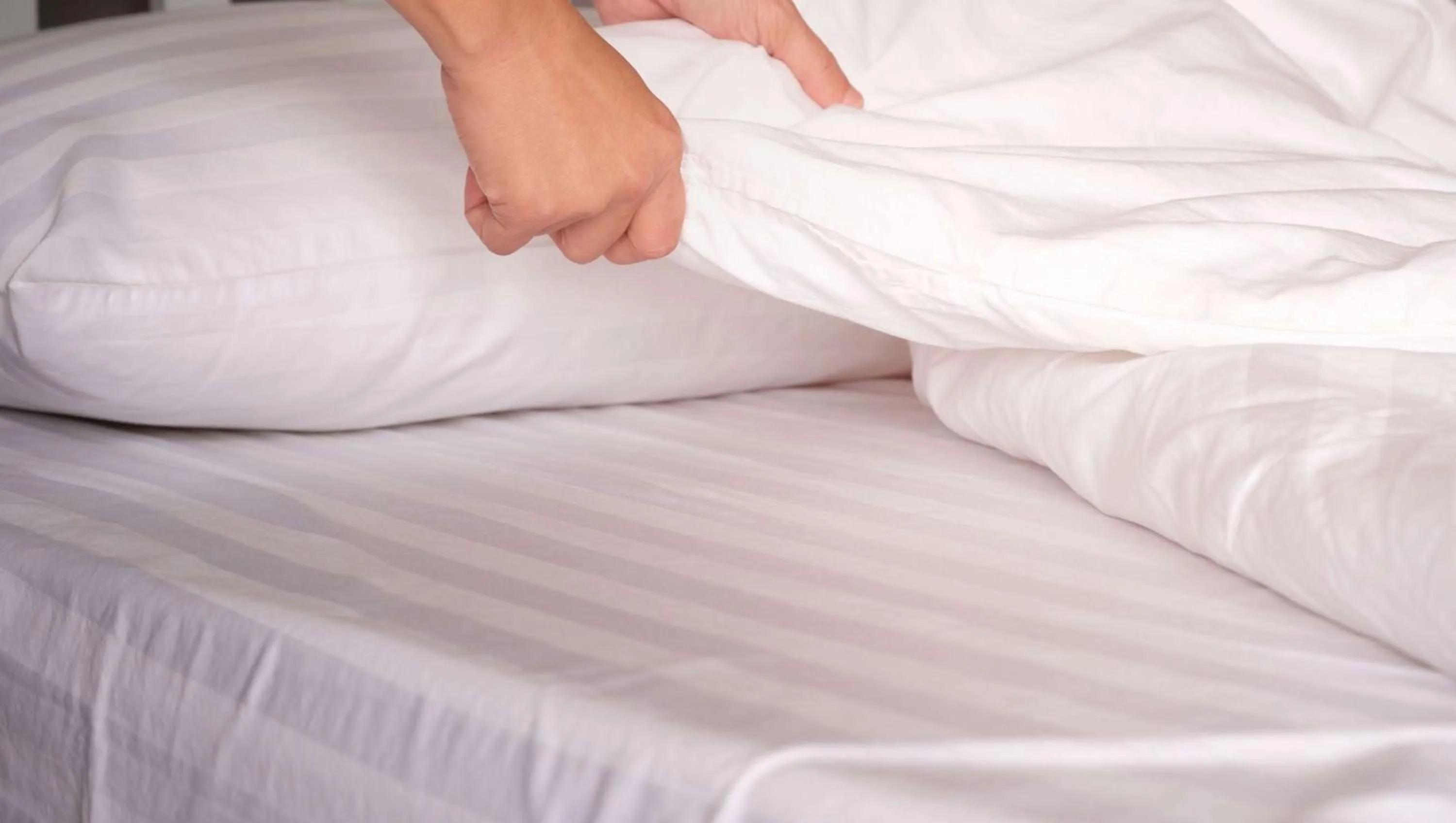 Photo of the whole room, Bed in Magnuson Hotel Texarkana