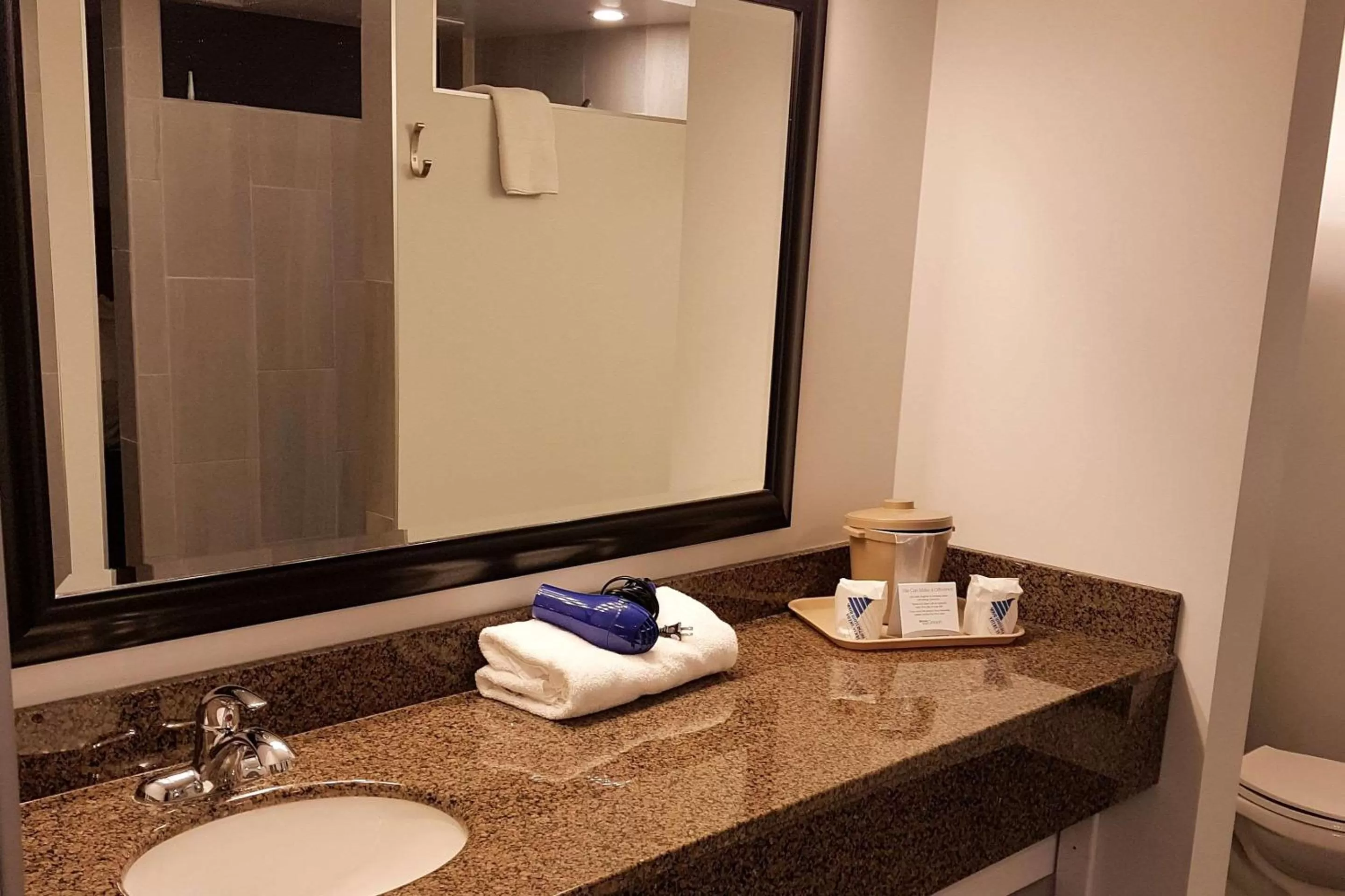Bathroom in Quality Inn West Edmonton