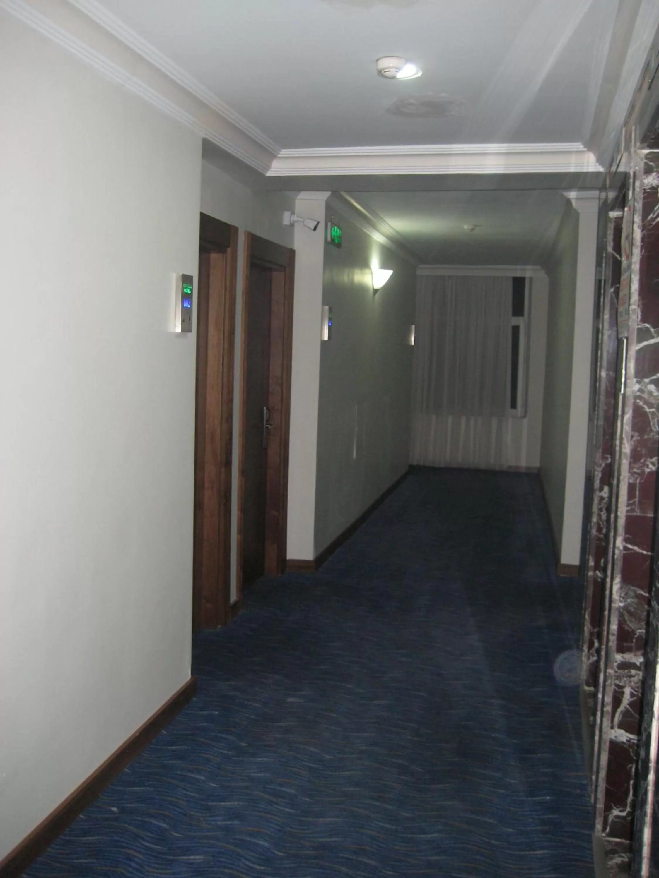 Decorative detail in Miroglu Hotel