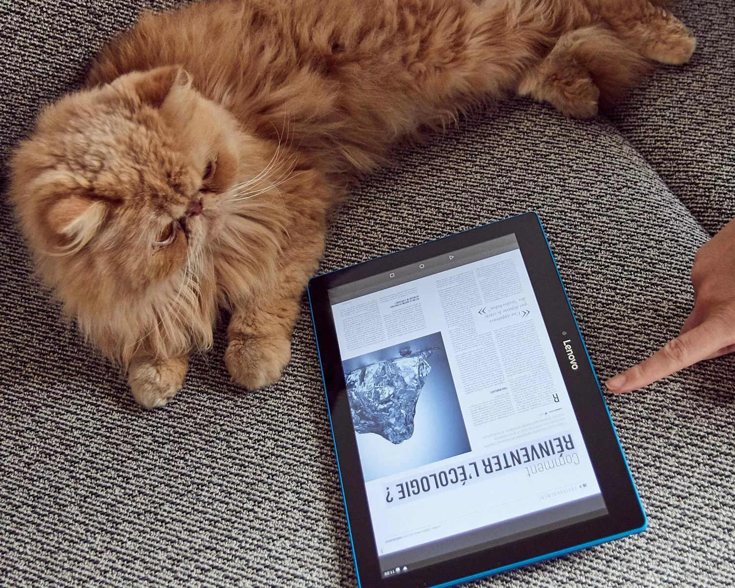 Pets in INNSiDE by Meliá Paris Charles de Gaulle Airport