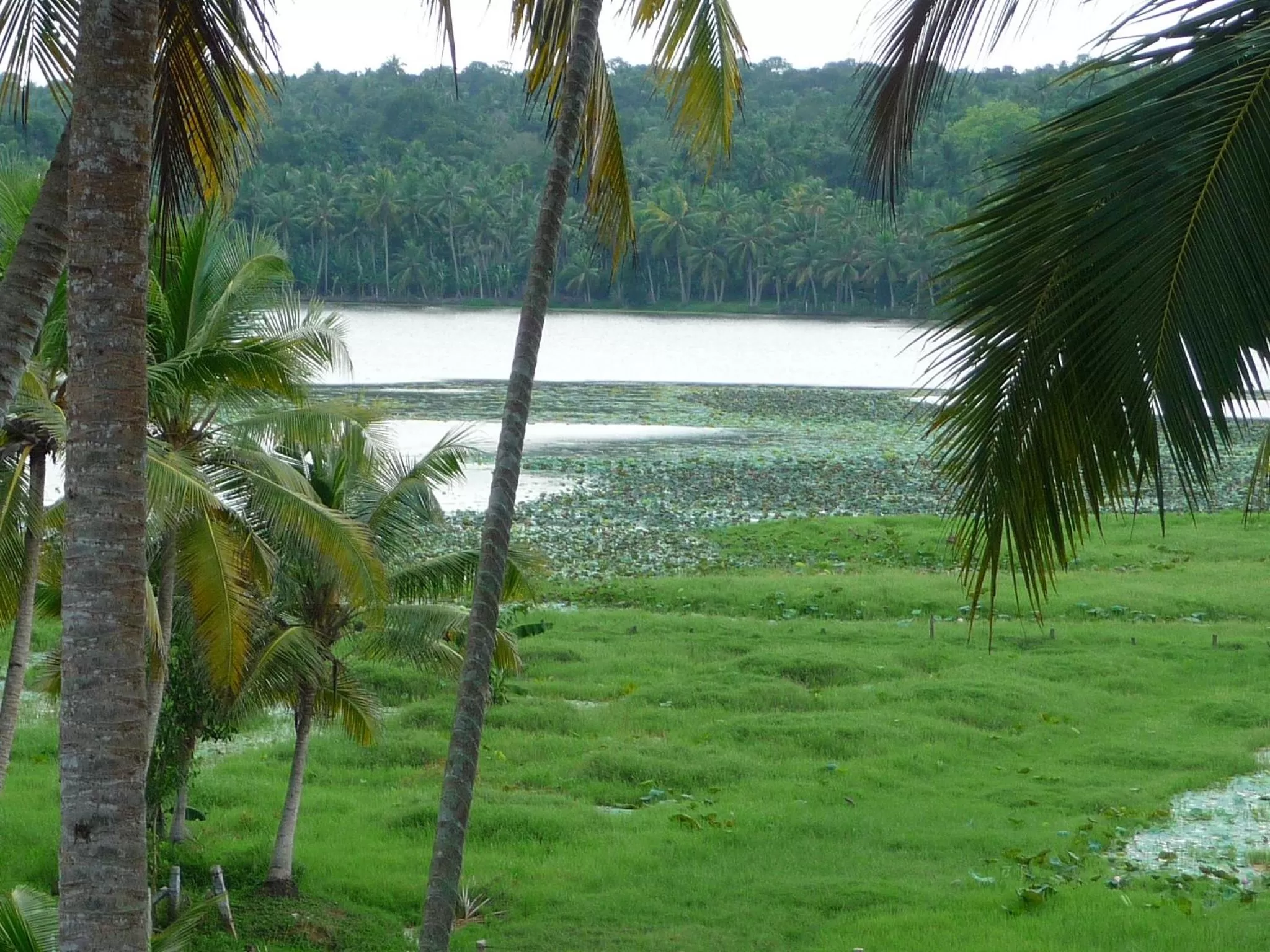 Lake view in Ganesh Ayurveda Holiday Home