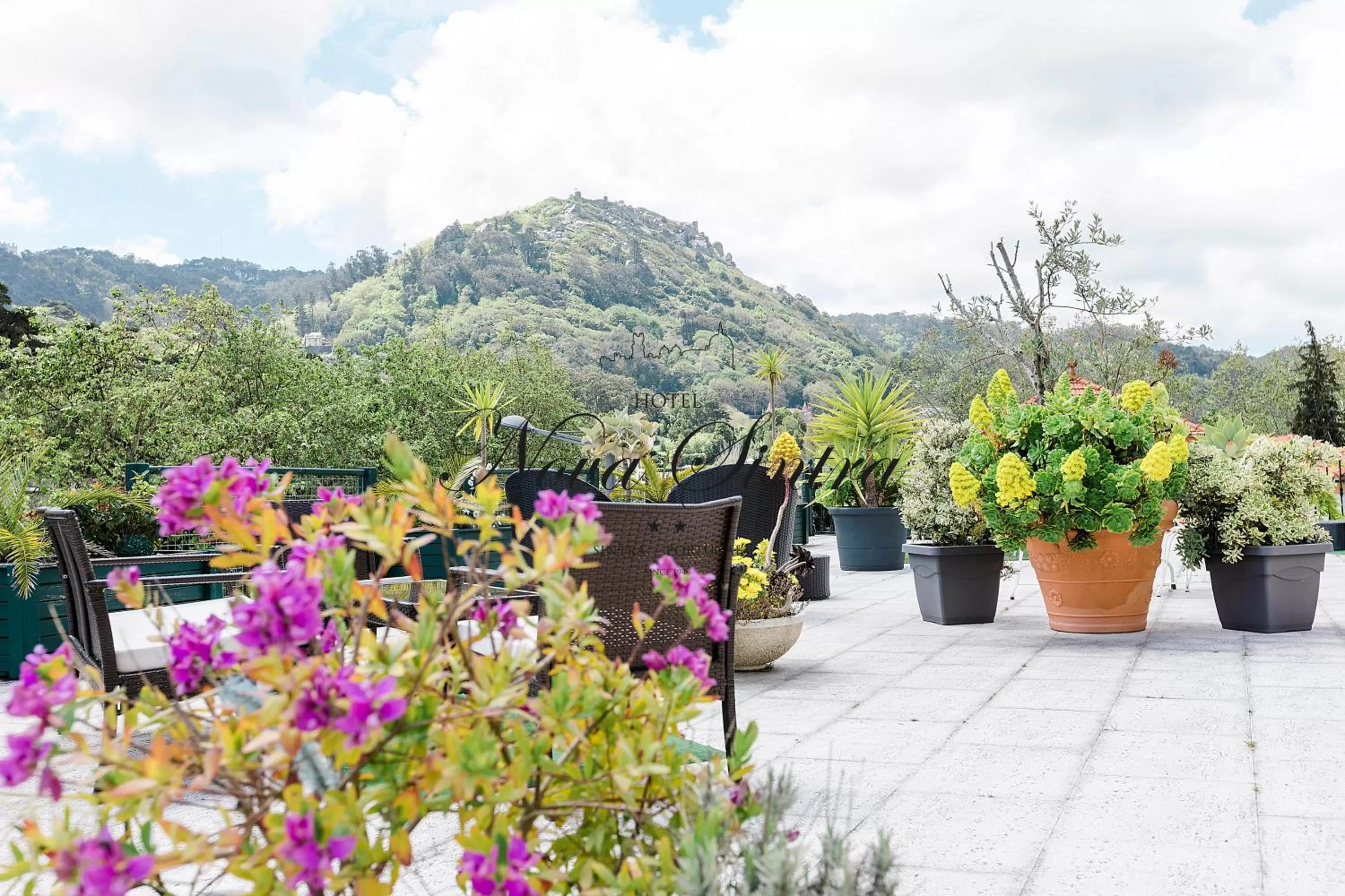 Balcony/Terrace in Hotel Nova Sintra - Adults only
