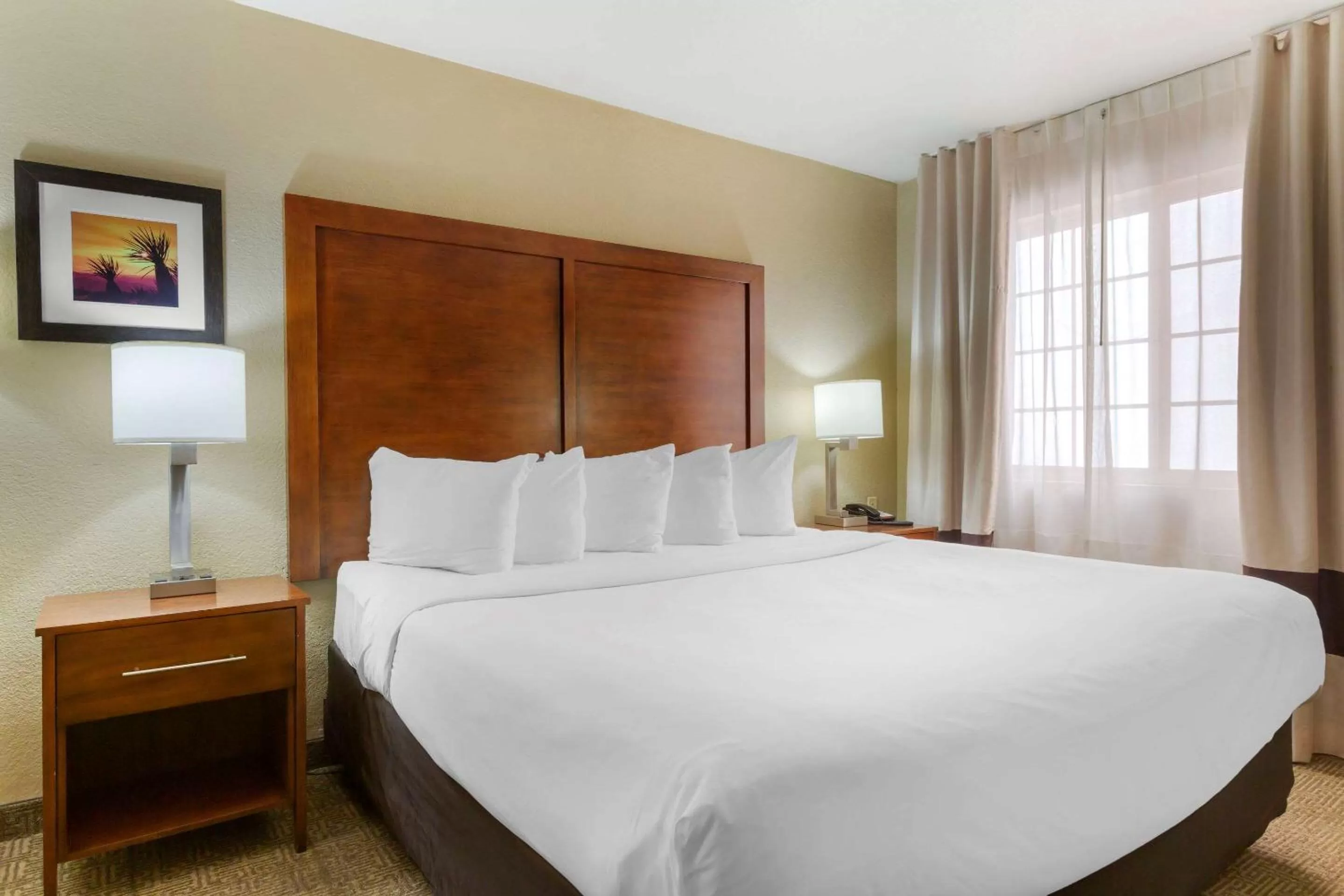 King Room - Disability Access/Non-Smoking in Comfort Inn & Suites North Glendale and Peoria