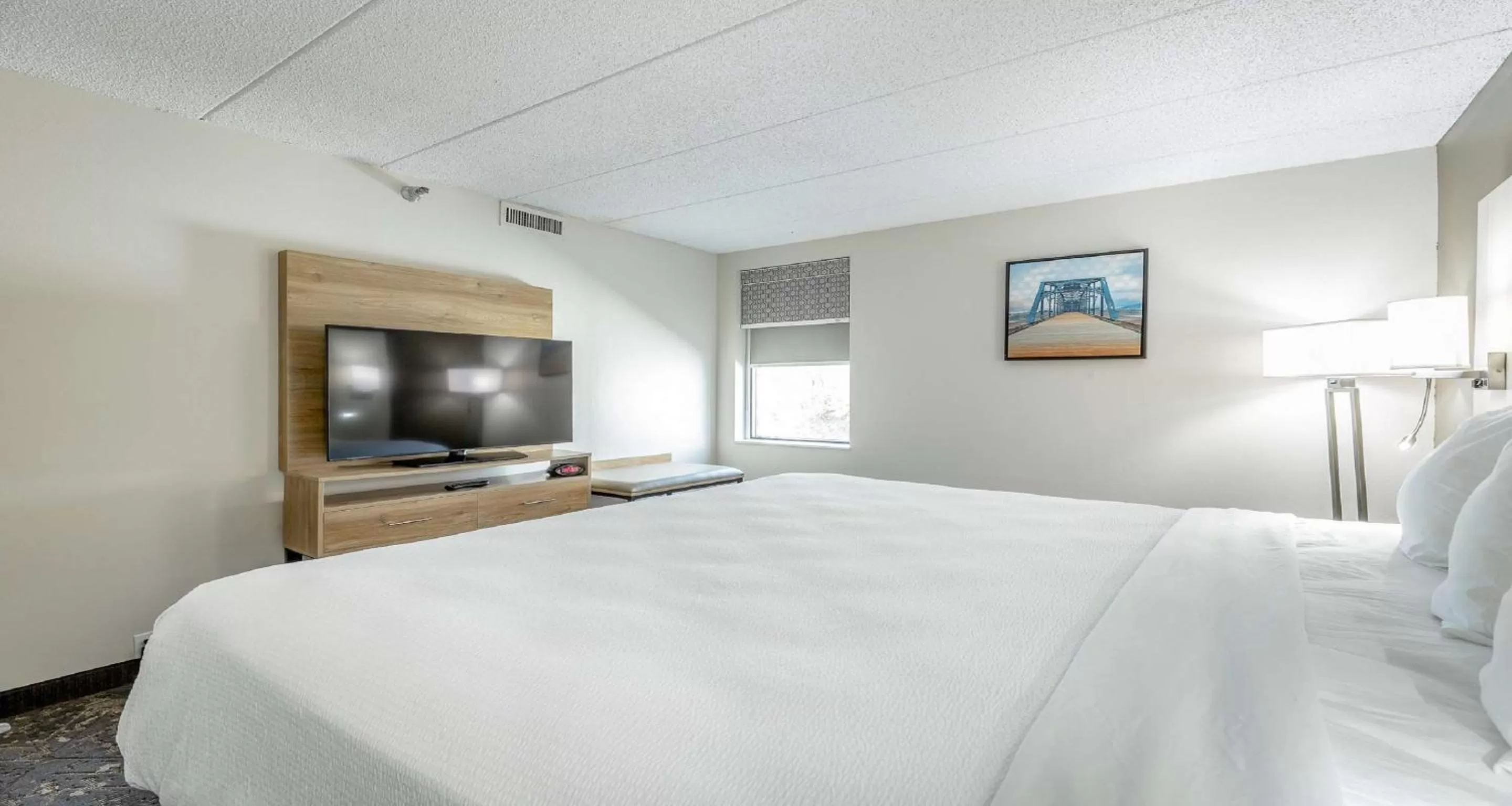 King Suite with Sofa Bed - Mobility Accessible/Non-Smoking in Best Western Plus Arbour Inn and Suites