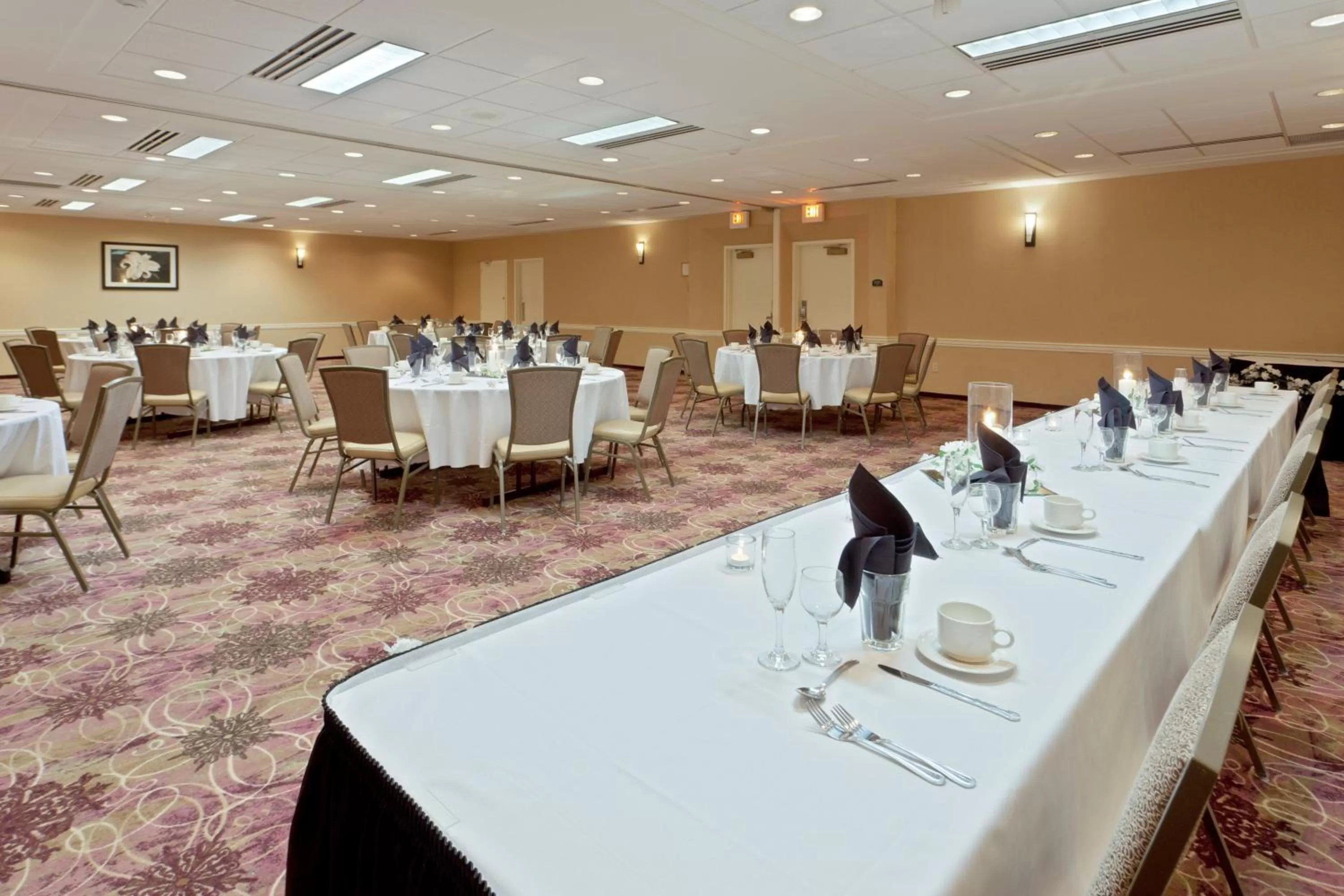 Banquet/Function facilities in Armoni Inn & Suites