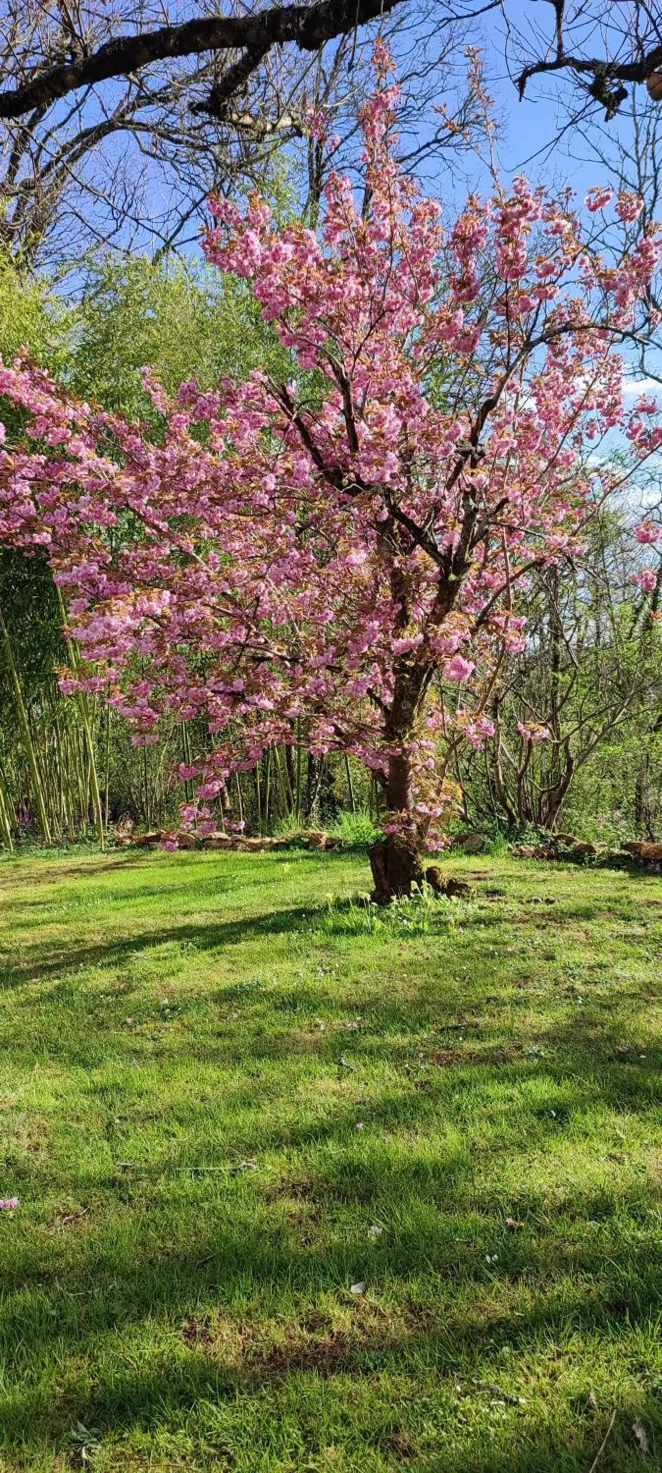 Seasons in Aux Couleurs d'Esteil