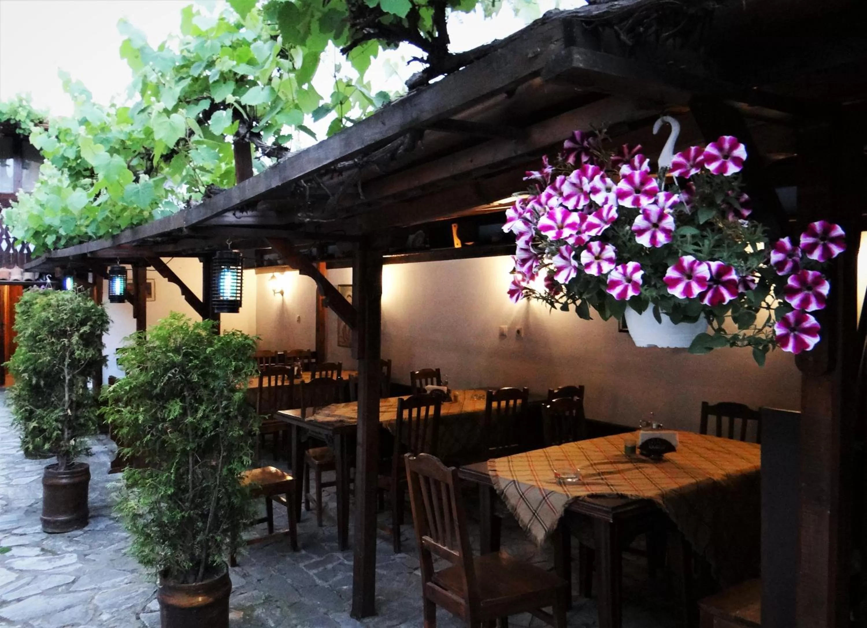 Restaurant/Places to Eat in The Old House Family Hotel