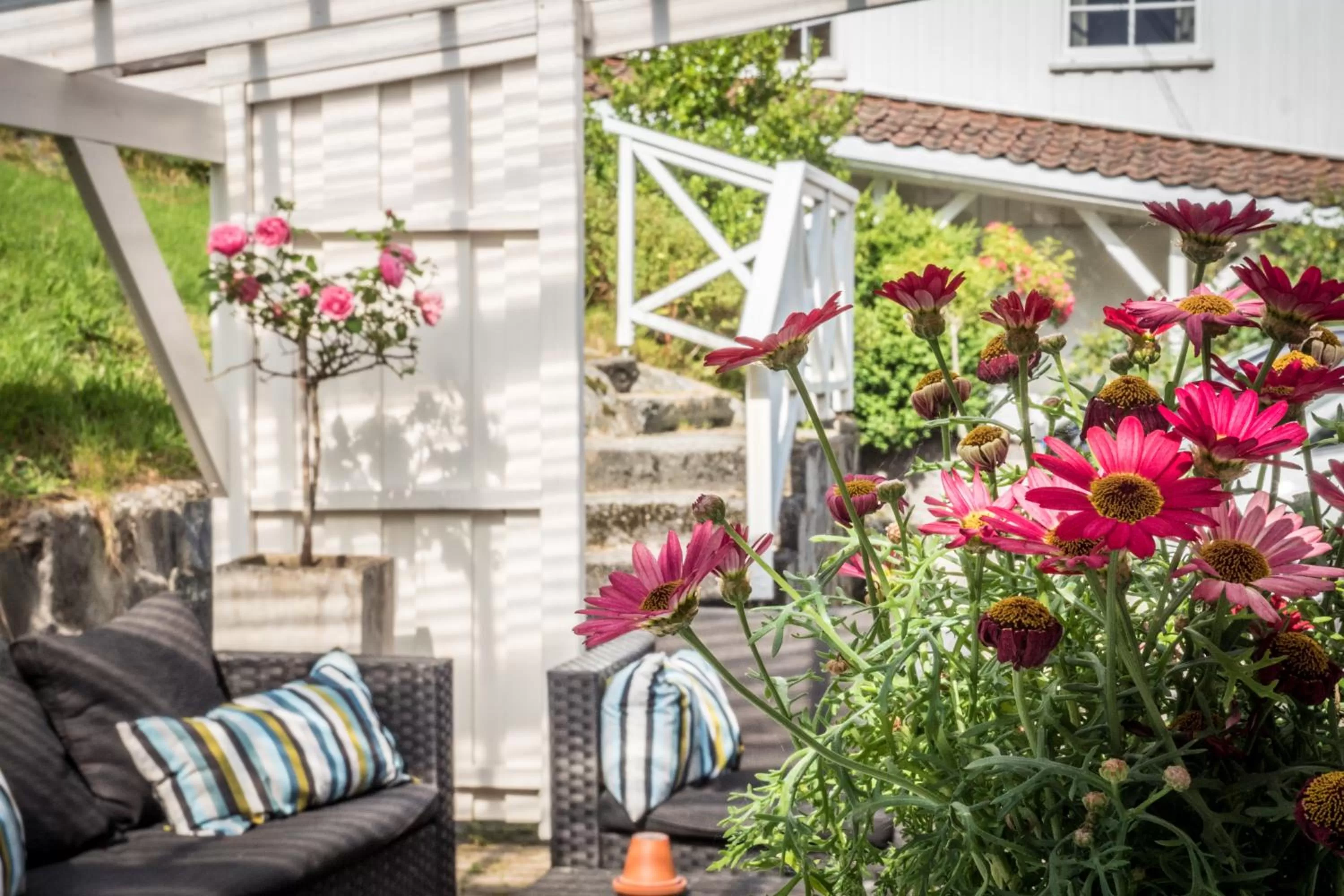 Balcony/Terrace in Lilland Brewery Hotel