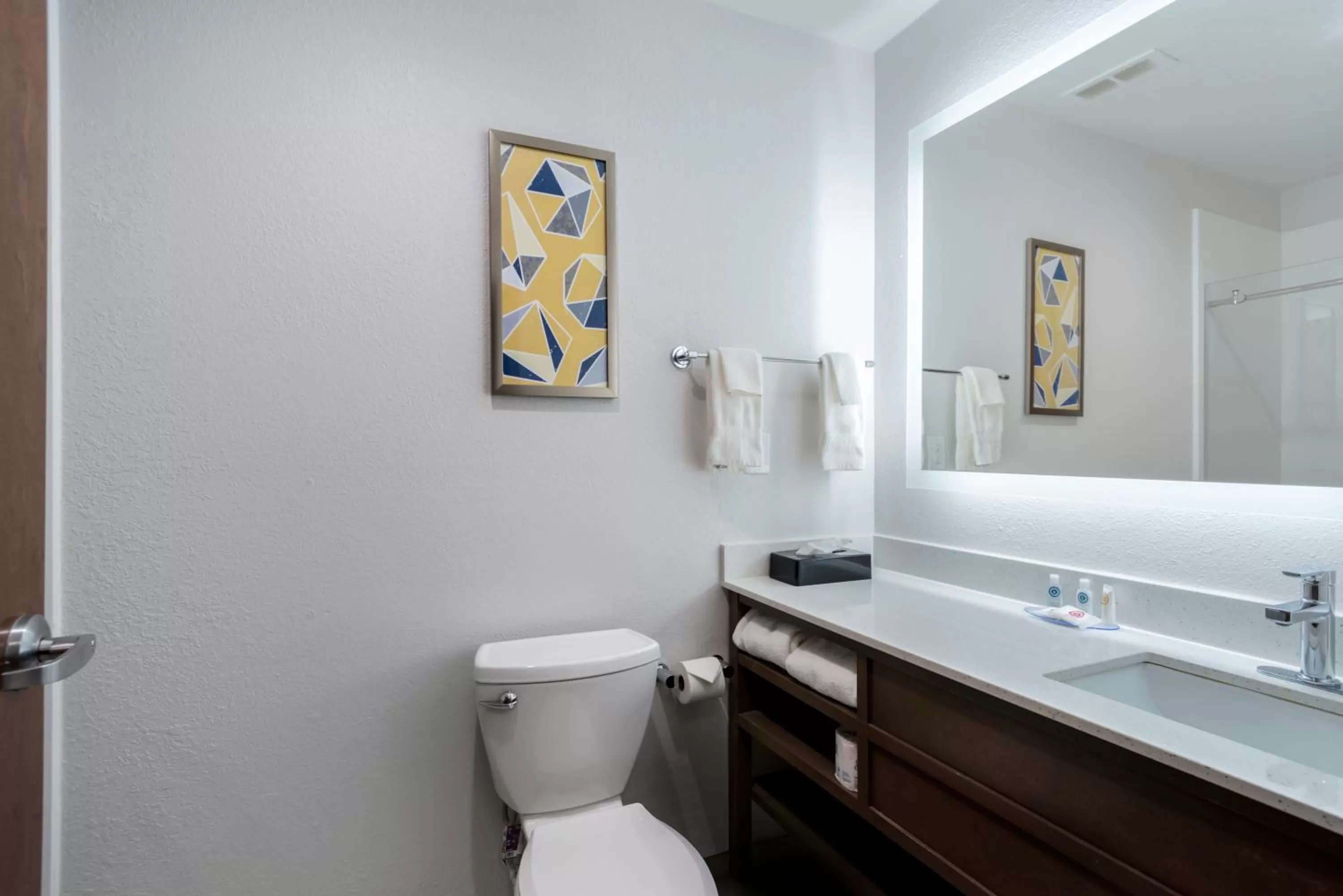 Toilet in Comfort Inn & Suites Lexington South