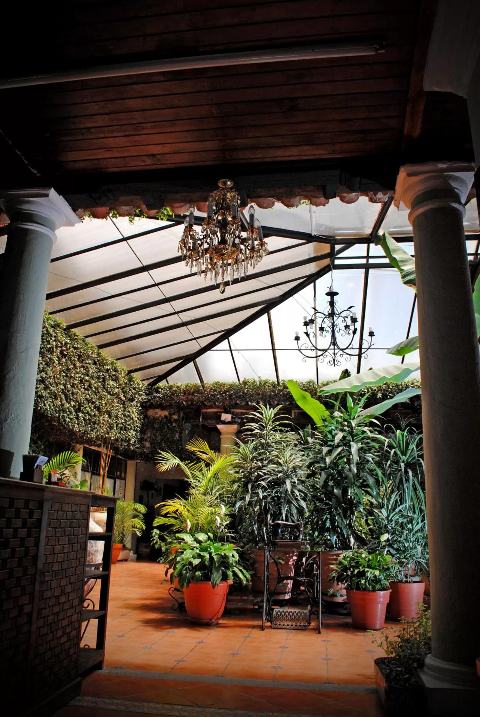 Lobby or reception in Hotel San Luis