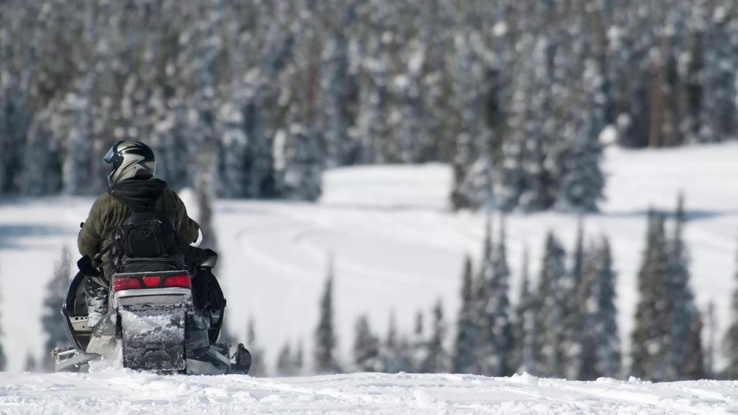 Activities in La Quinta Inn by Wyndham Steamboat Springs