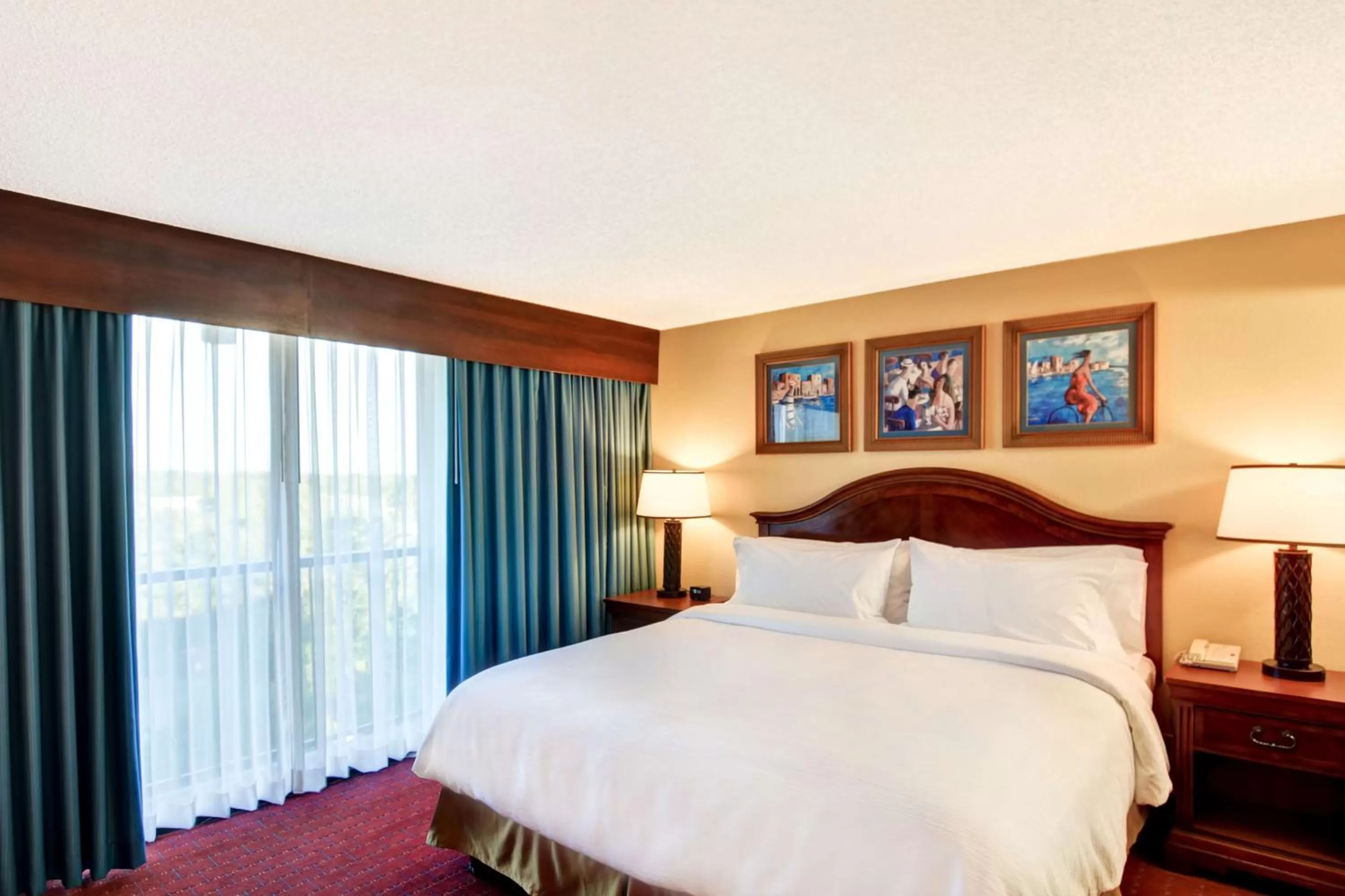 One-Bedroom King Suite - Non-Smoking in Embassy Suites by Hilton Orlando North