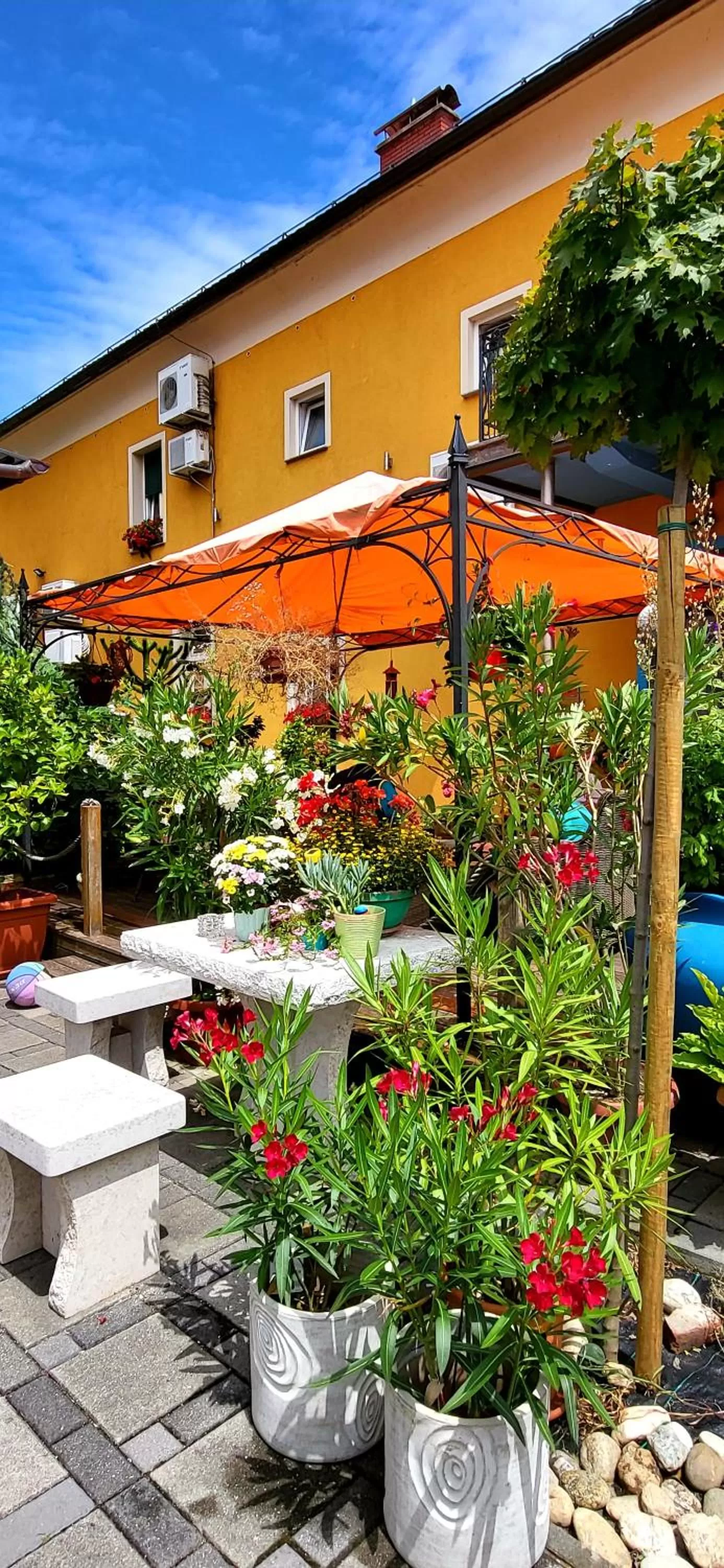 Garden, Property Building in Hostel Sonce