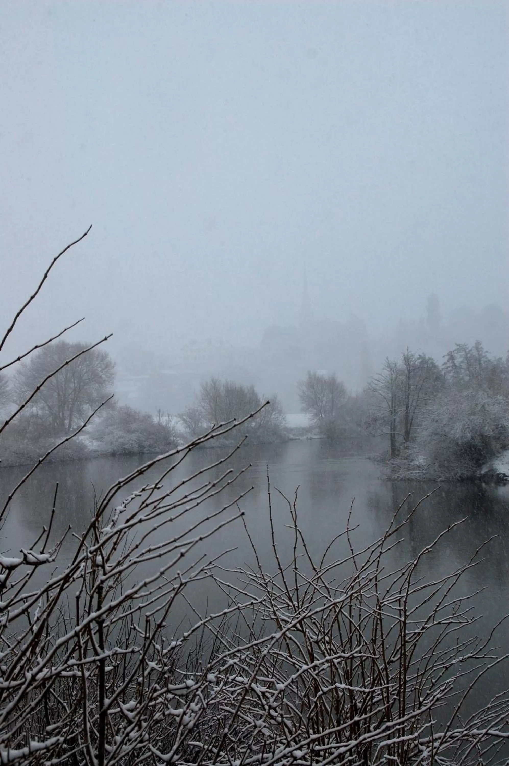 Natural landscape in The Bridge House