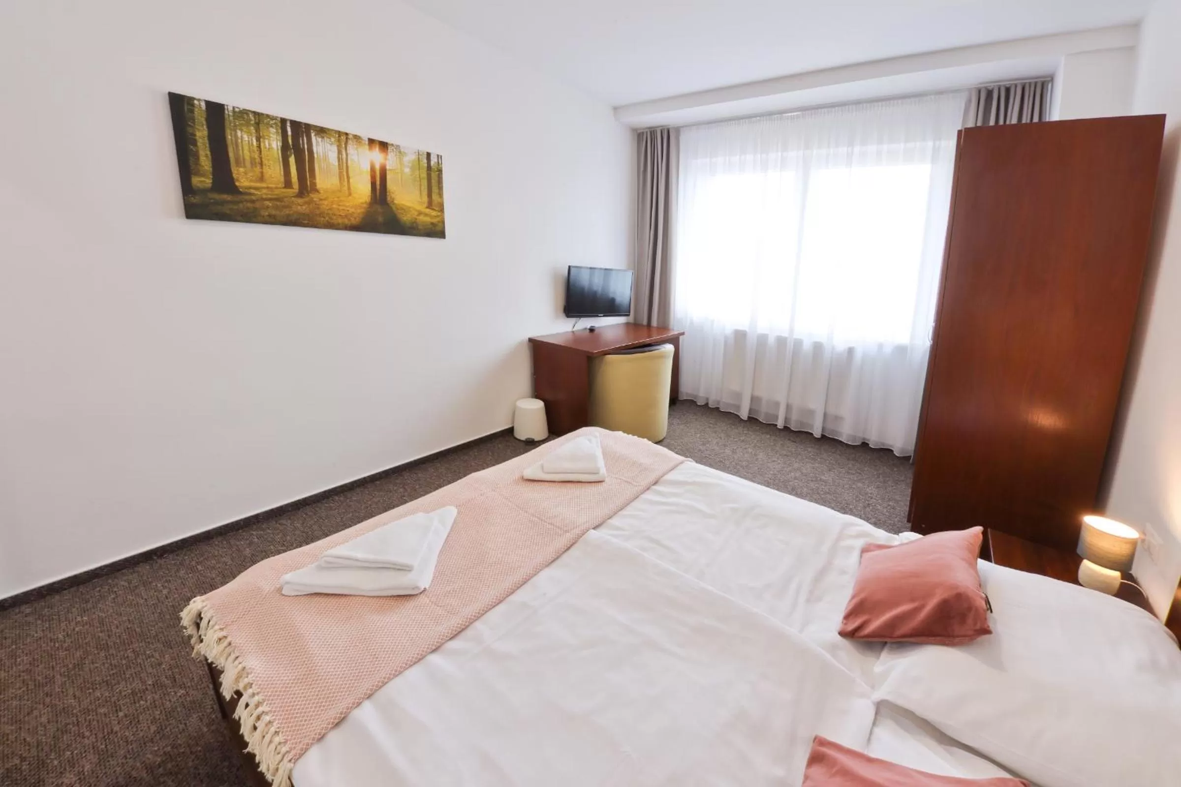 Photo of the whole room, Bed in Hotel Slanica