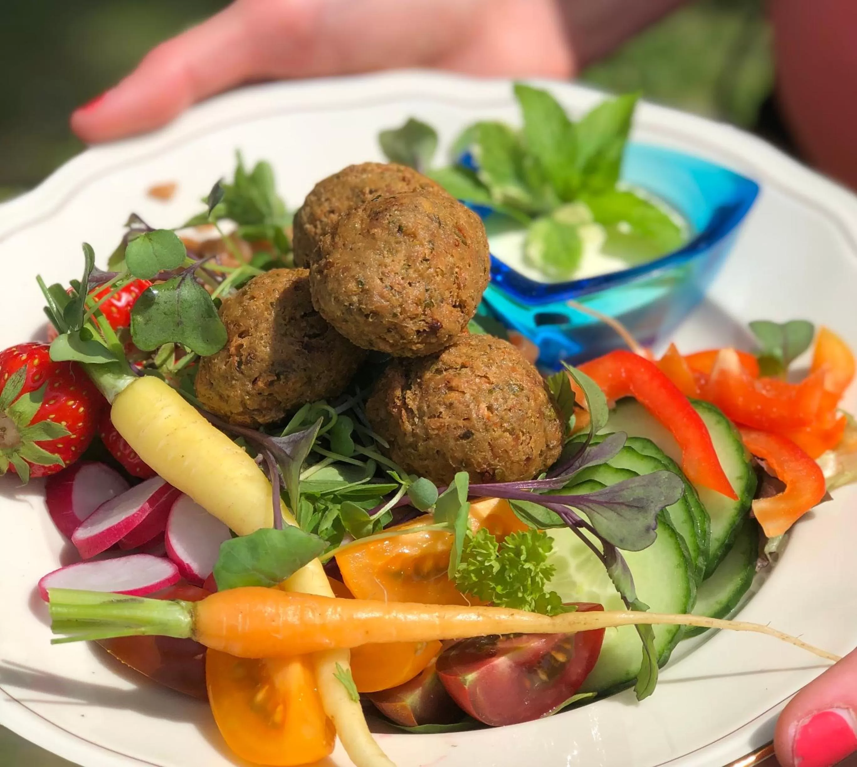 Tryde 1303 B&B på Österlen