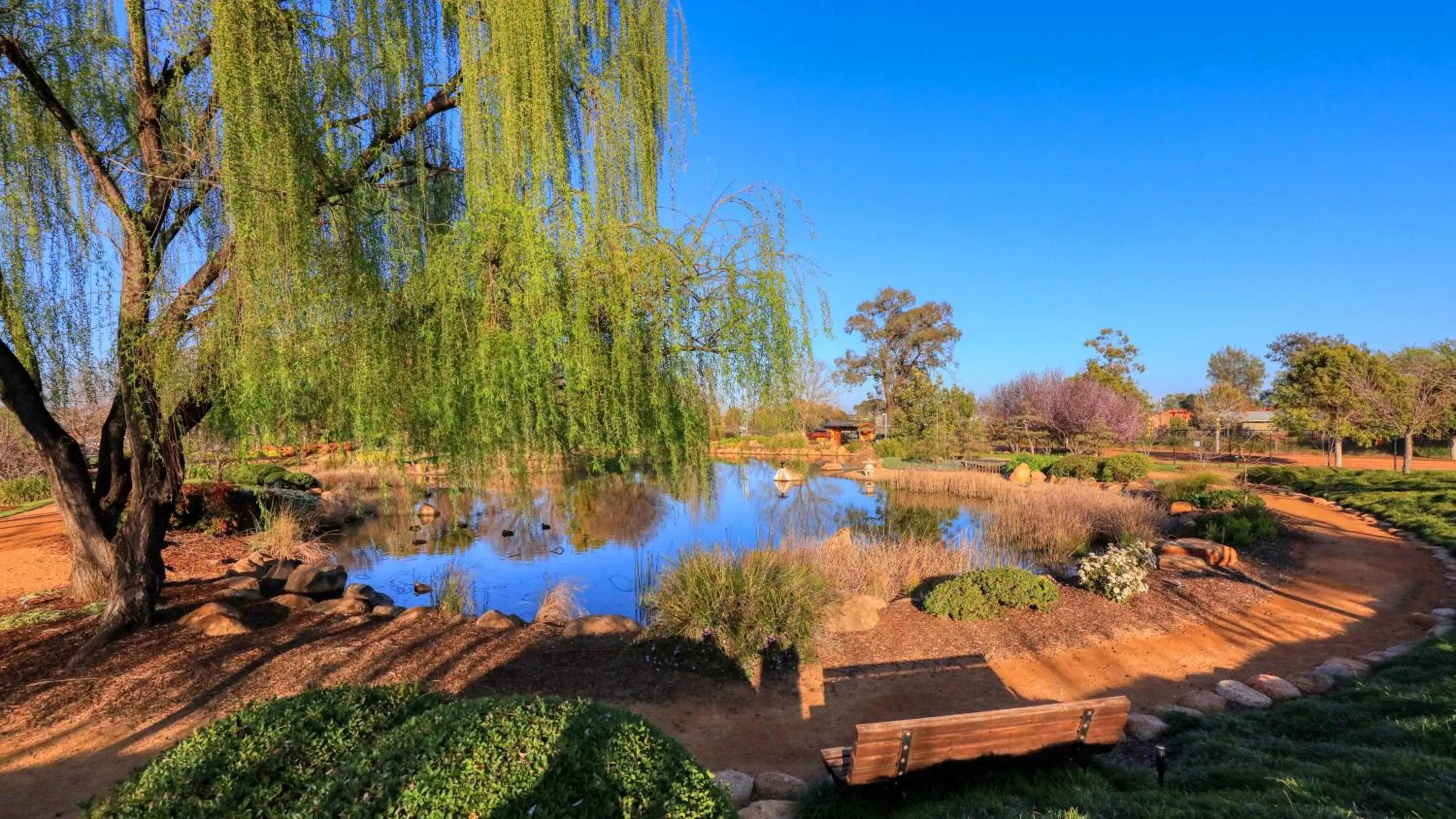 Off site in Blue Diamond Motor Inn