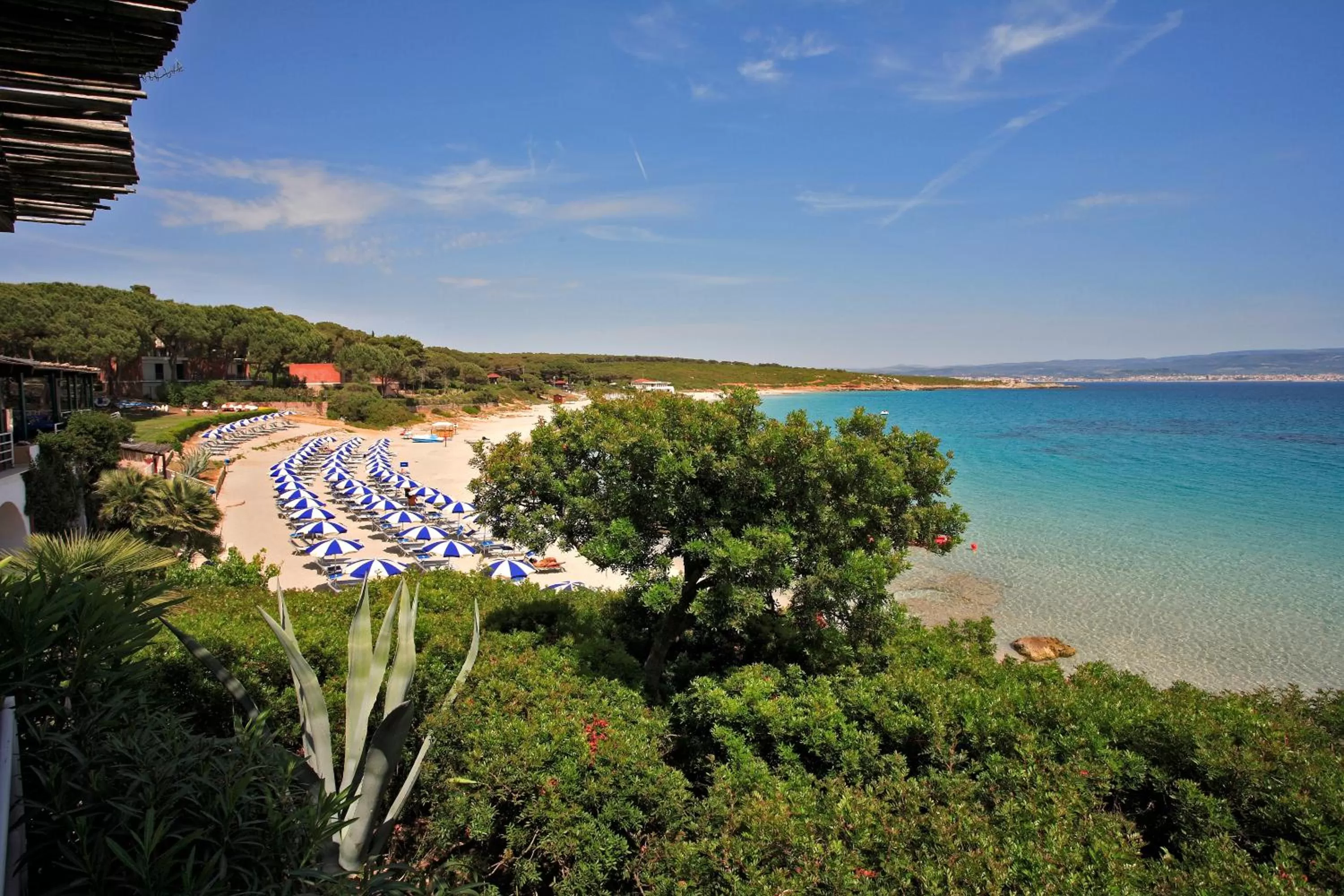 Beach in Hotel Dei Pini