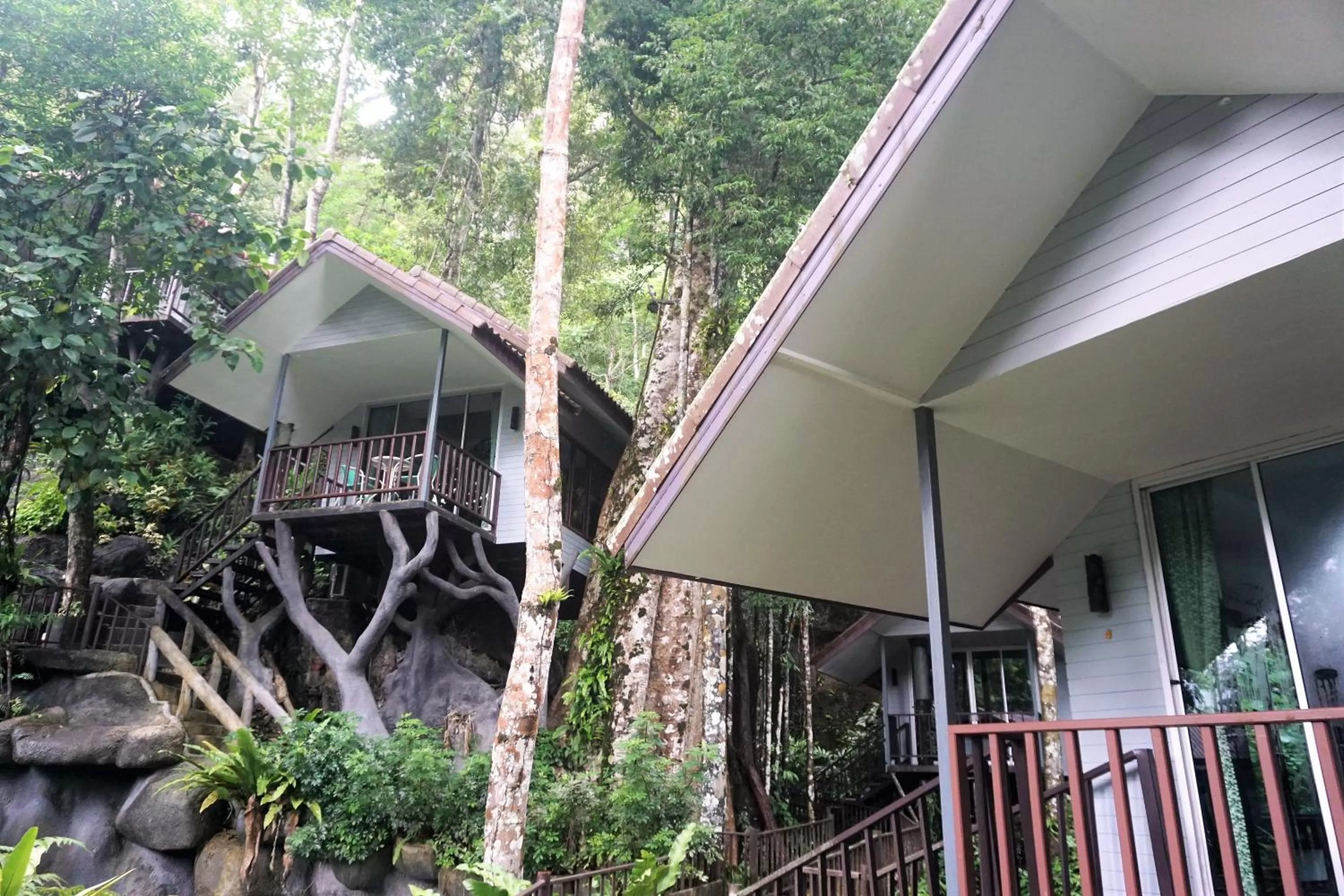 Balcony/Terrace in Rock and Tree House Resort