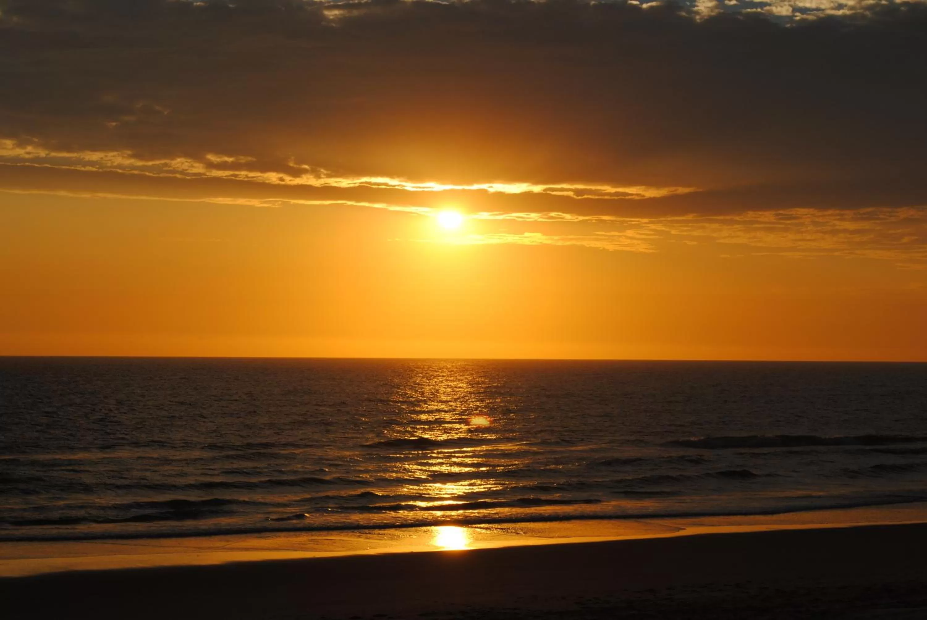 View (from property/room) in Albatross North Apartments