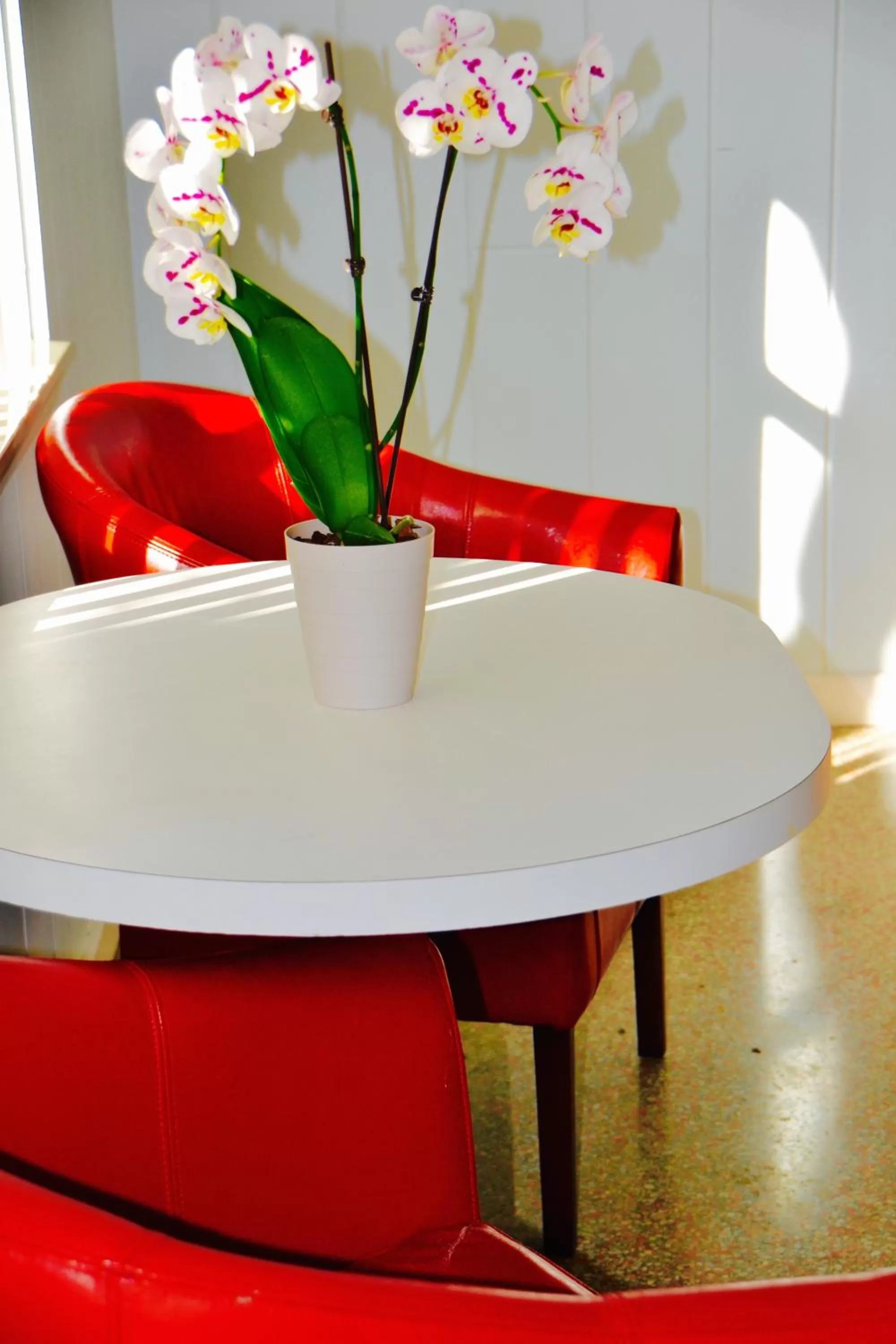 Other in Sea Turtle Inn