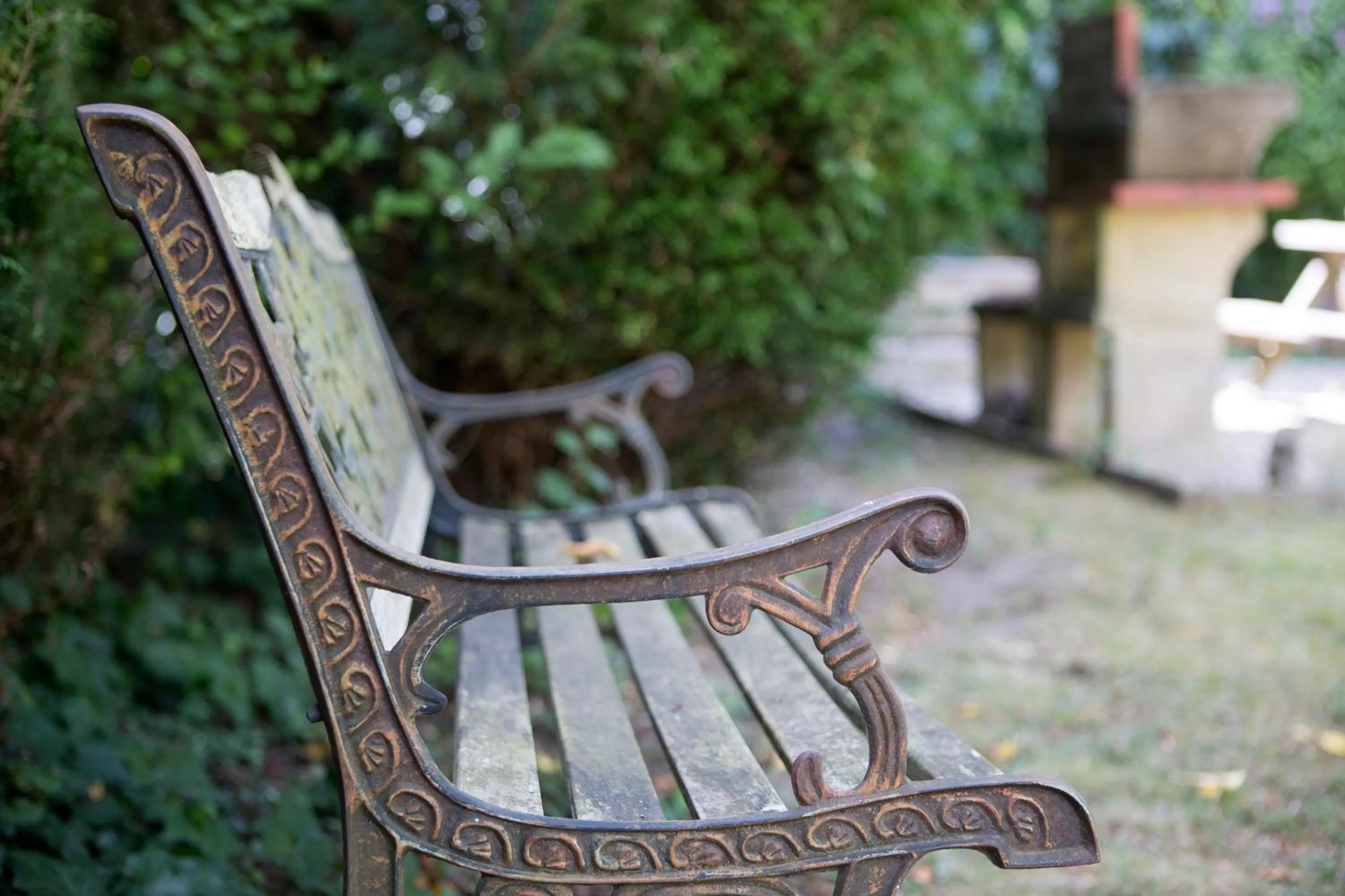 Garden in Logis Hotel Le Cerf