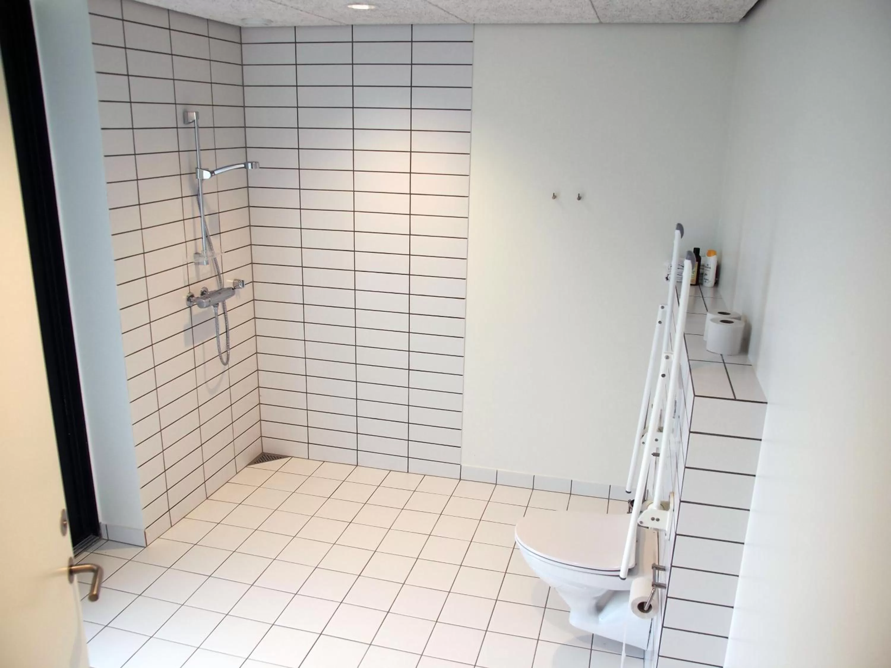 Garden in DBU Hotel & Kursuscenter