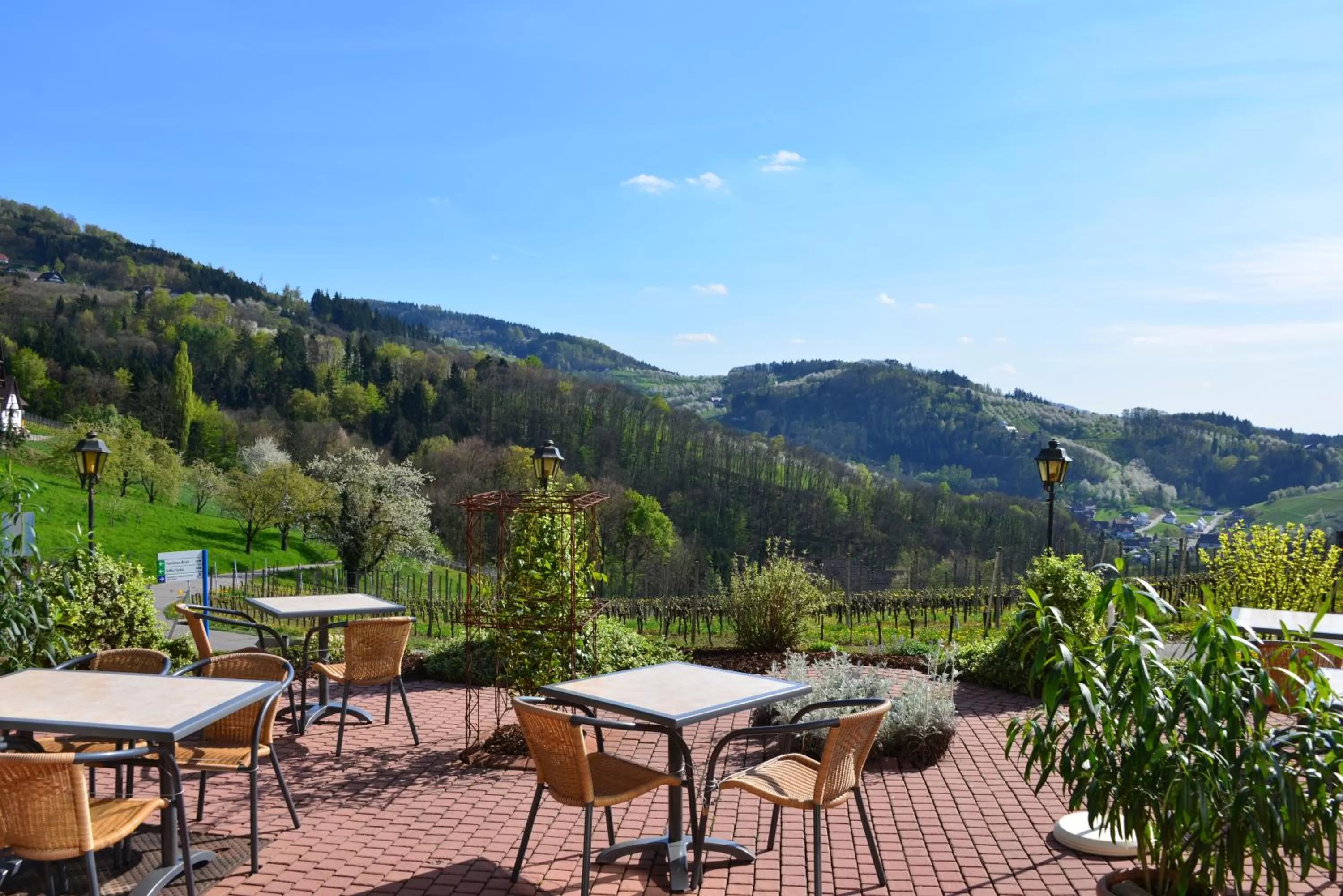 Spring, Mountain View in RelaxHotel Tannenhof