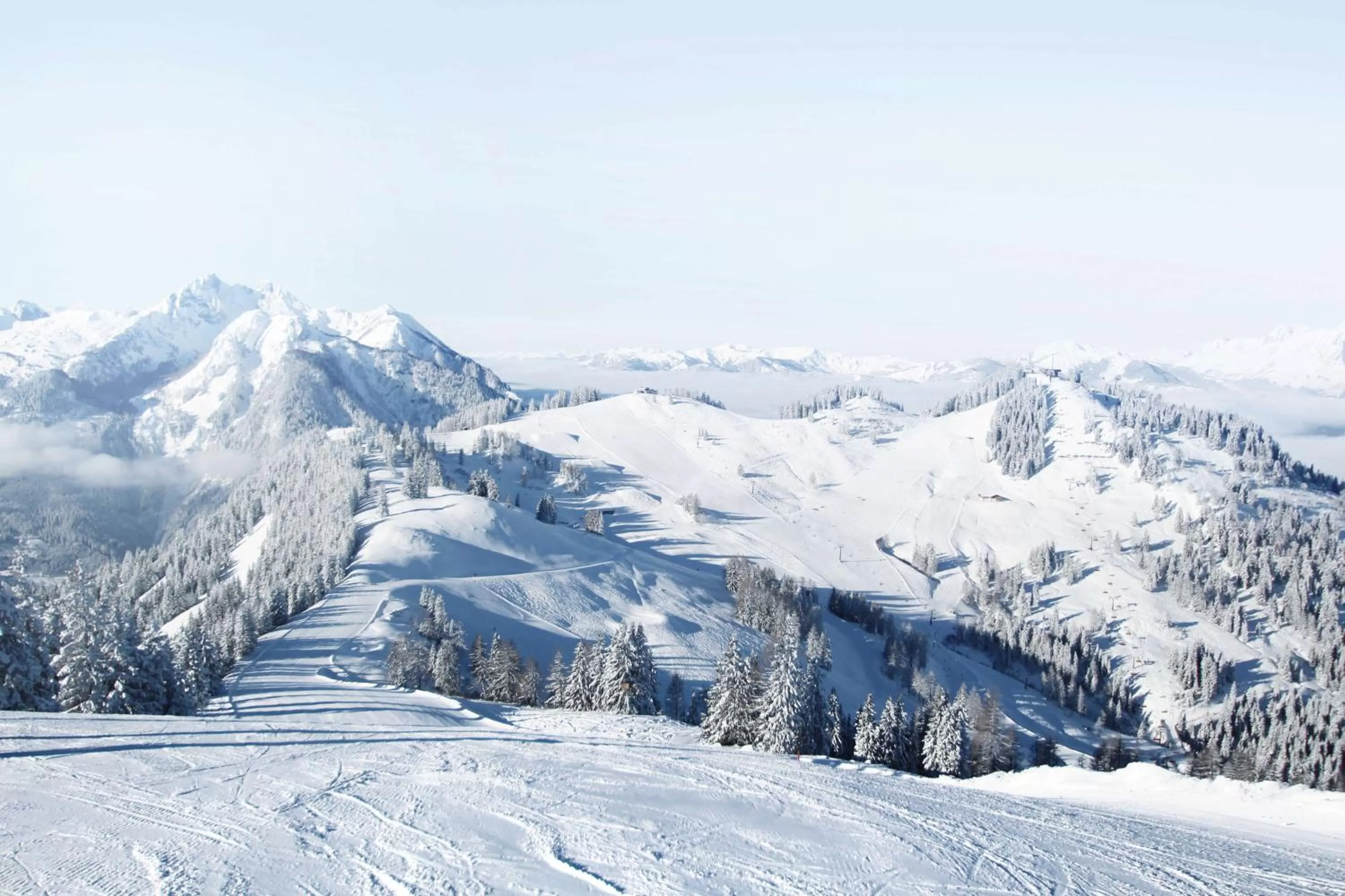 Natural landscape in Alpines Lifestyle Hotel Tannenhof